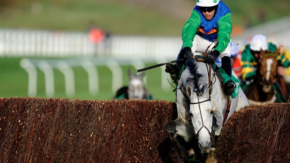 Should horse whipping be banned? The World from PRX