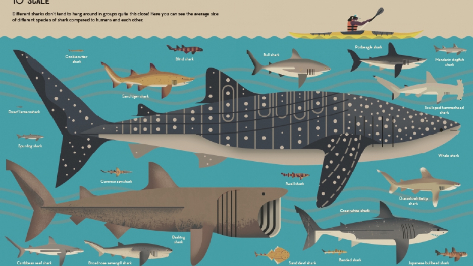 Scientific Books For Kids Scientific Books For Kids