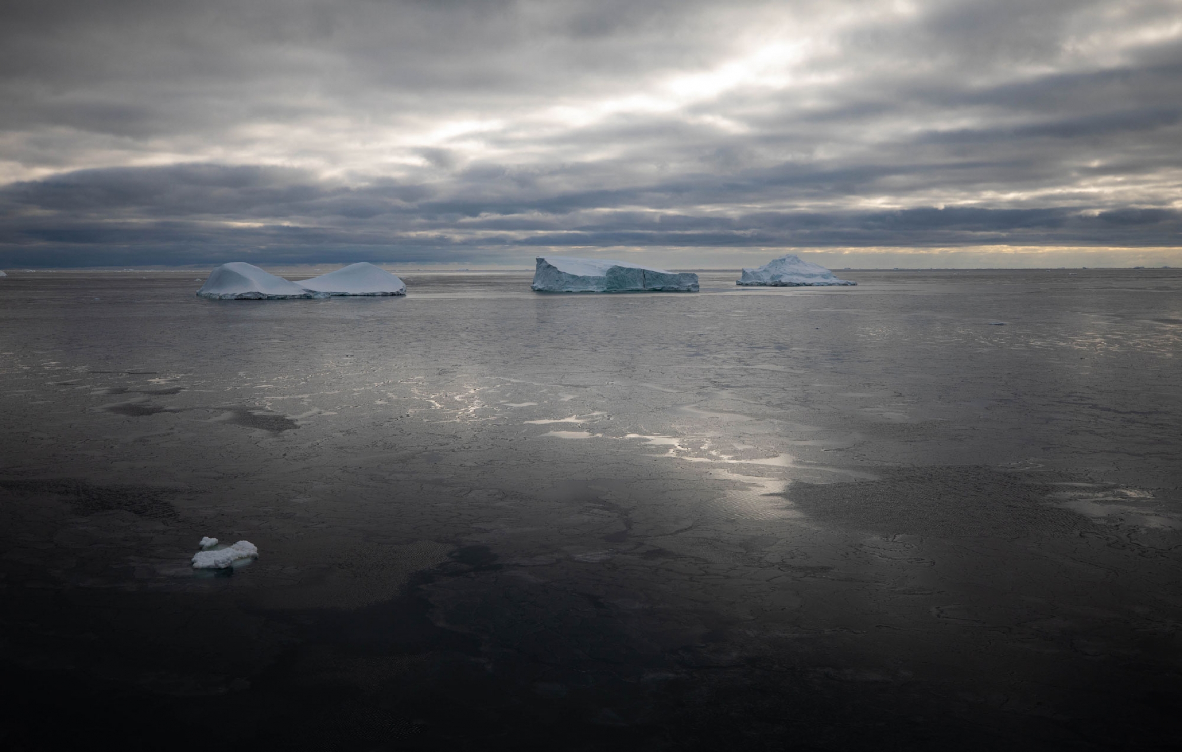 Grease ice turning to shuga on a still day. Grease ice turning to shuga on a still day with large white icebergs off in the distance.