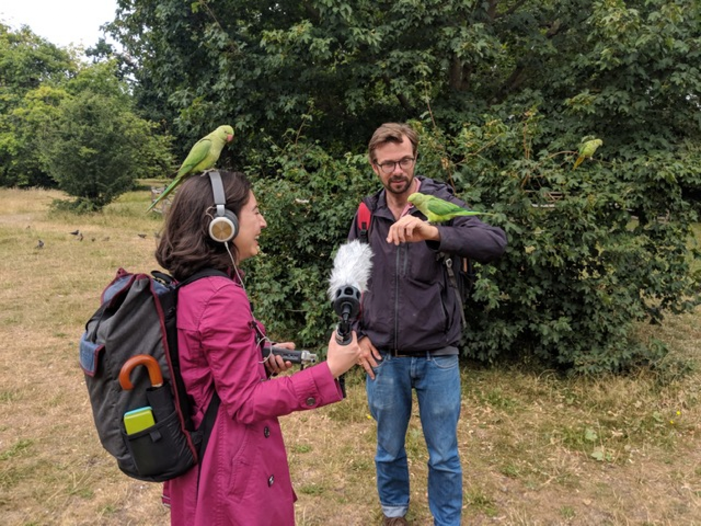 Parakeets find comfortable places to rest on Nick Hunt and Brenda Salinas in a London park.
