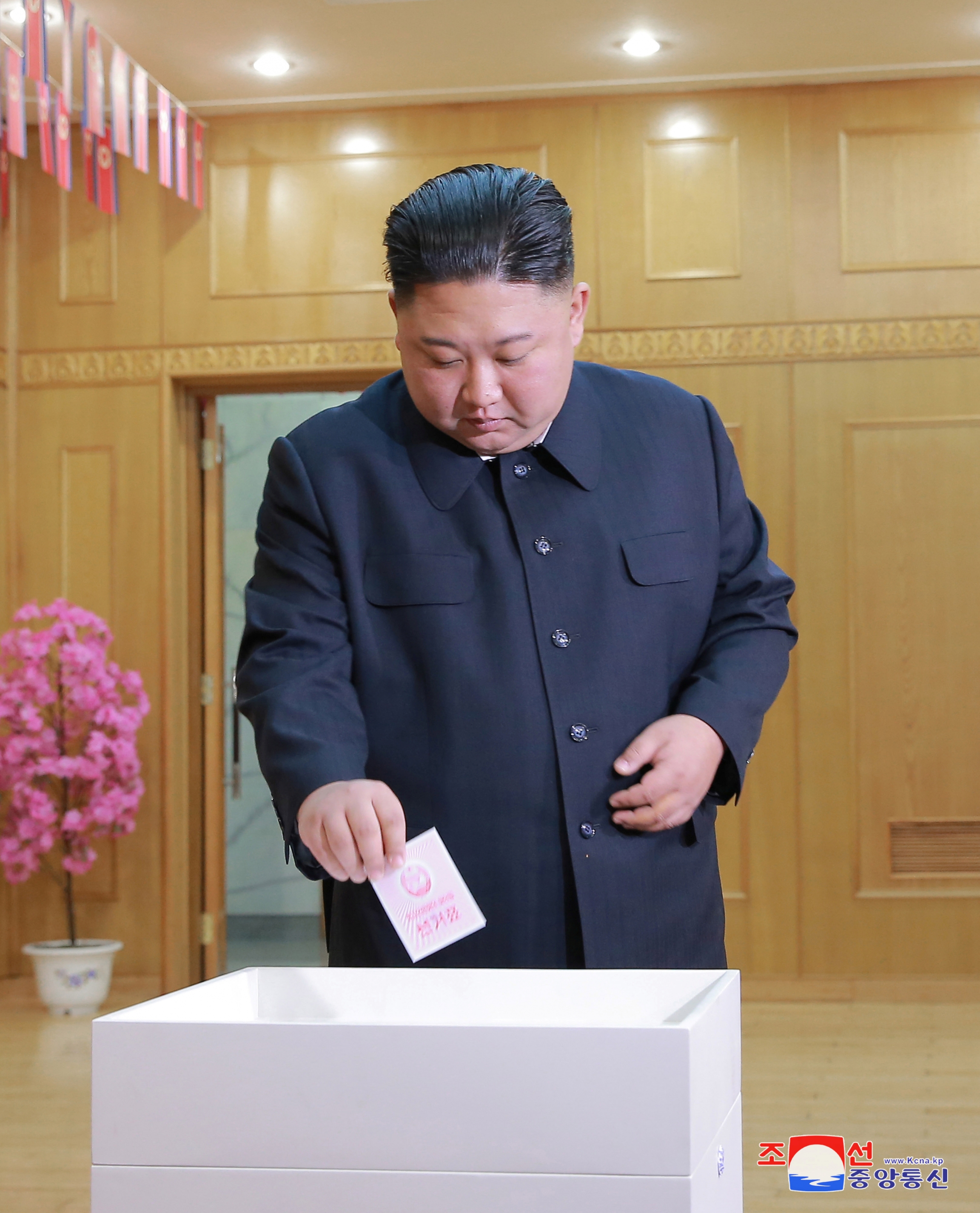 How to 'vote' in North Korea The World from PRX