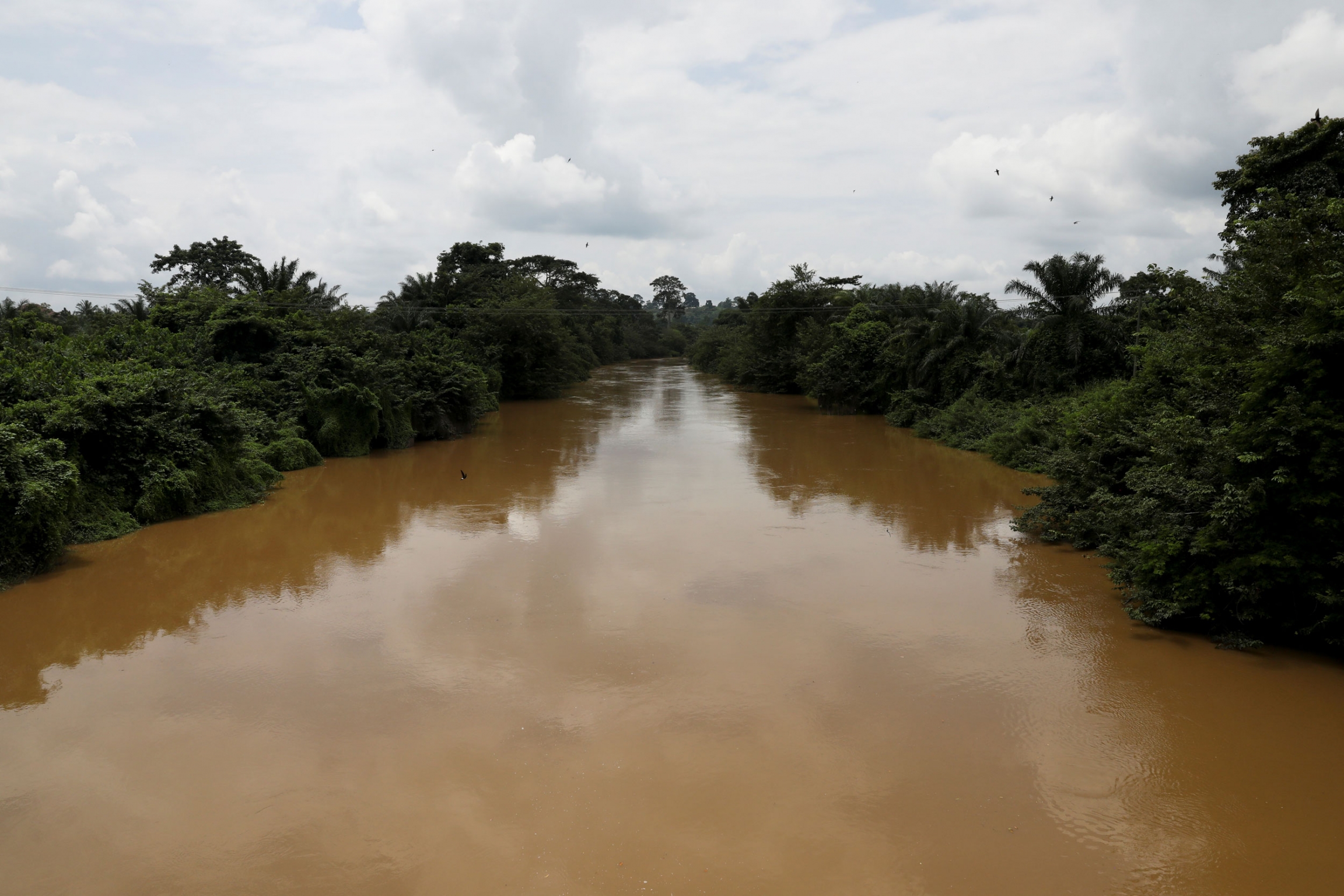 The River Pra which runs parallel to the Assin Praso heritage village. The River Pra is shown with a brownish color and a dark green forest on either side.