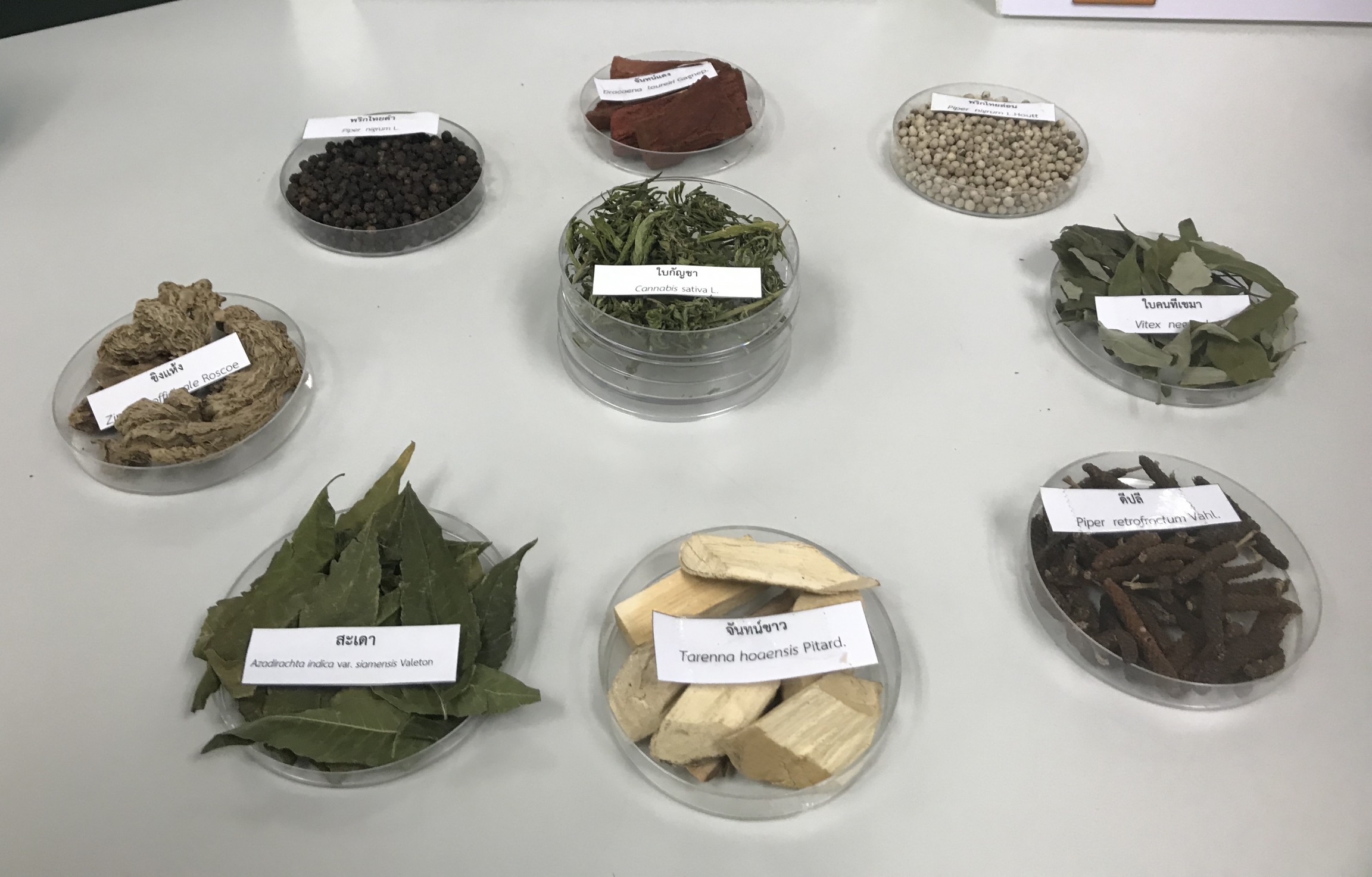 Ingredients used in a prototypical THC-infused powder invented by Thai scientists.