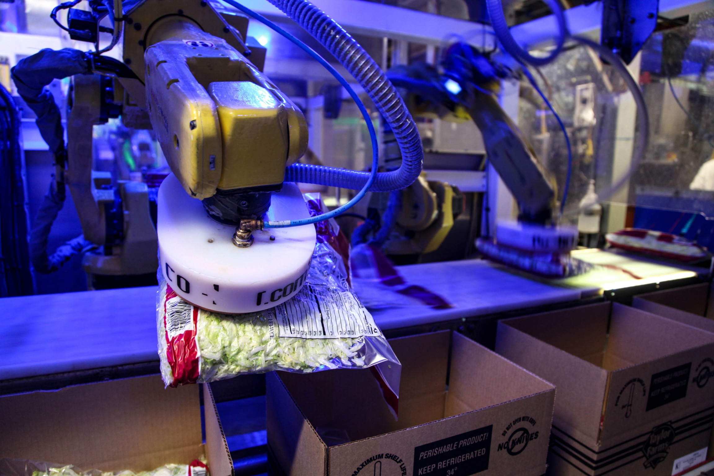 A robot uses suction to pick up a 5-lb back of lettuce and place it in a box. This task used to be done by workers. A robot uses suction to pick up a 5-lb back of lettuce and place it in a box. This task used to be done by workers.