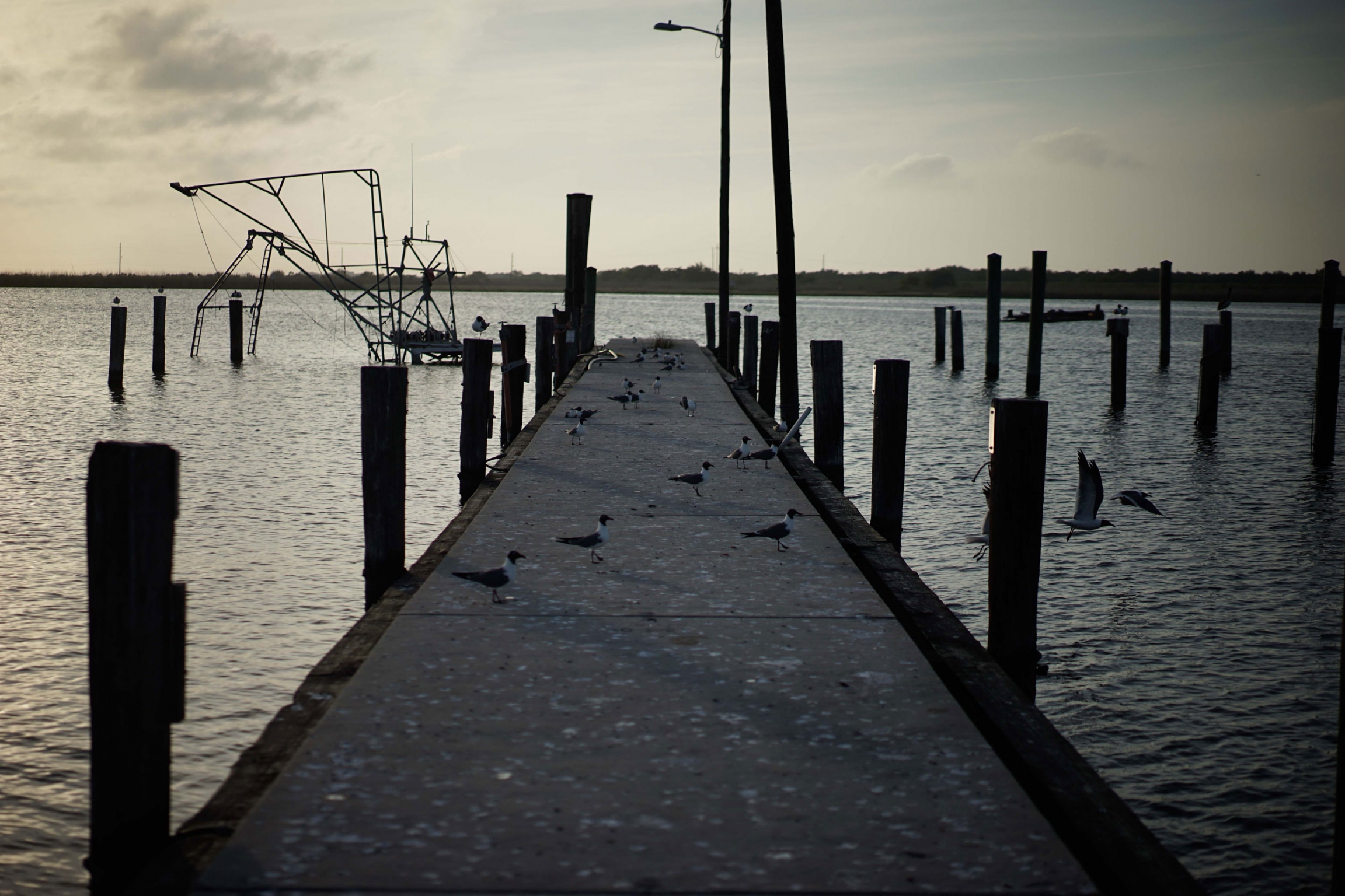 A dock on the Mississippi River in Buras, Louisiana. An older dock is shown extending out into the Mississippi River.
