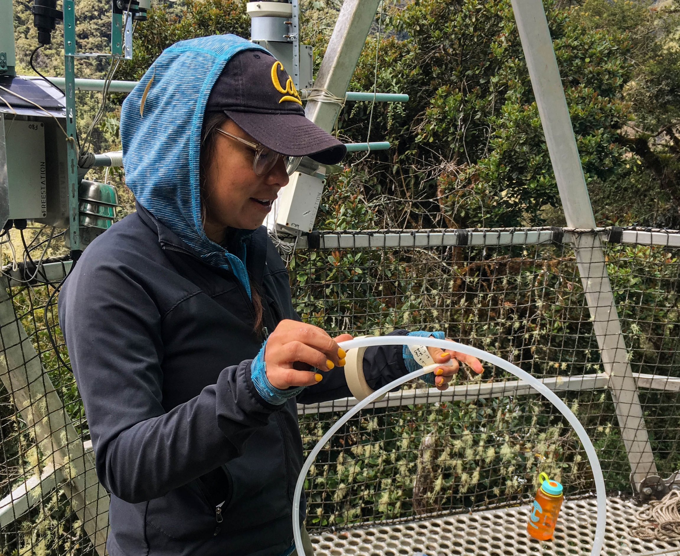 Roxy Cruz collects cloud water at Wayqecha Biological Station. A woman is shown wearing a Cal hat with a hoodie over top.