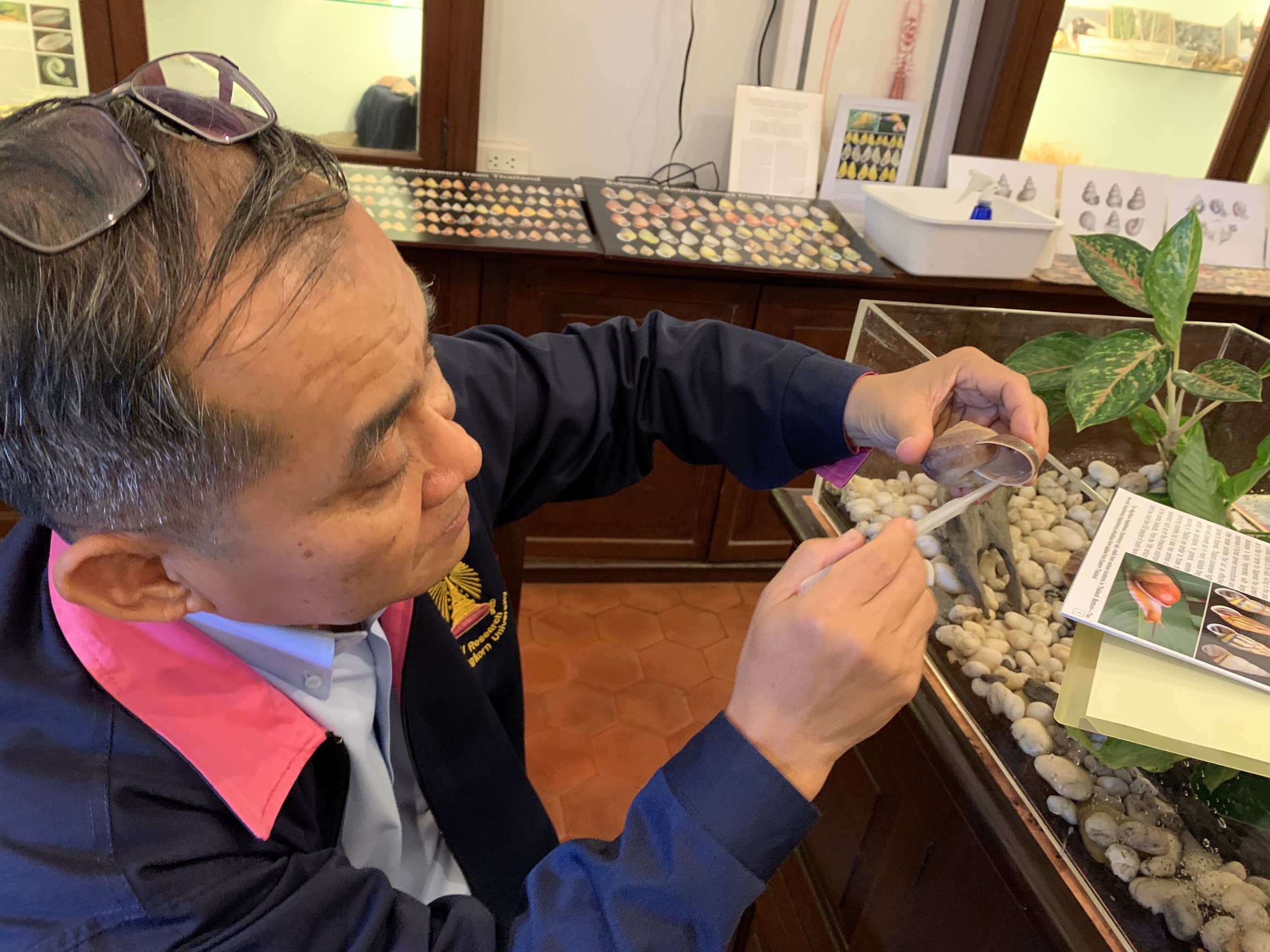 Somsak Panha is a biologist who is known as Thailand’s top snail guru. Somsak Panha is a biologist who is known as Thailand’s top snail guru.