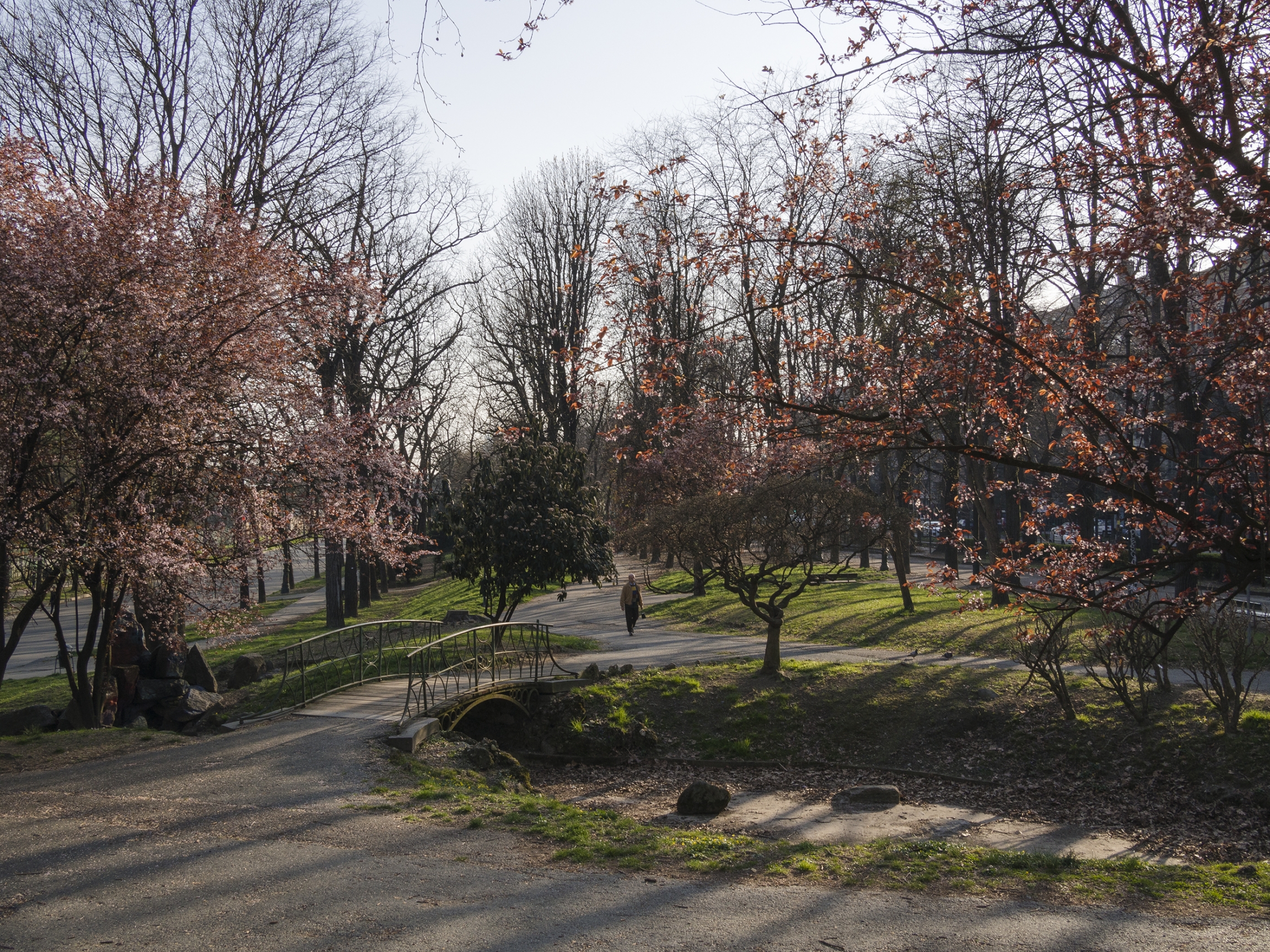 Valentino Park in the Italian city of Turin has emptied out amid lockdown. 