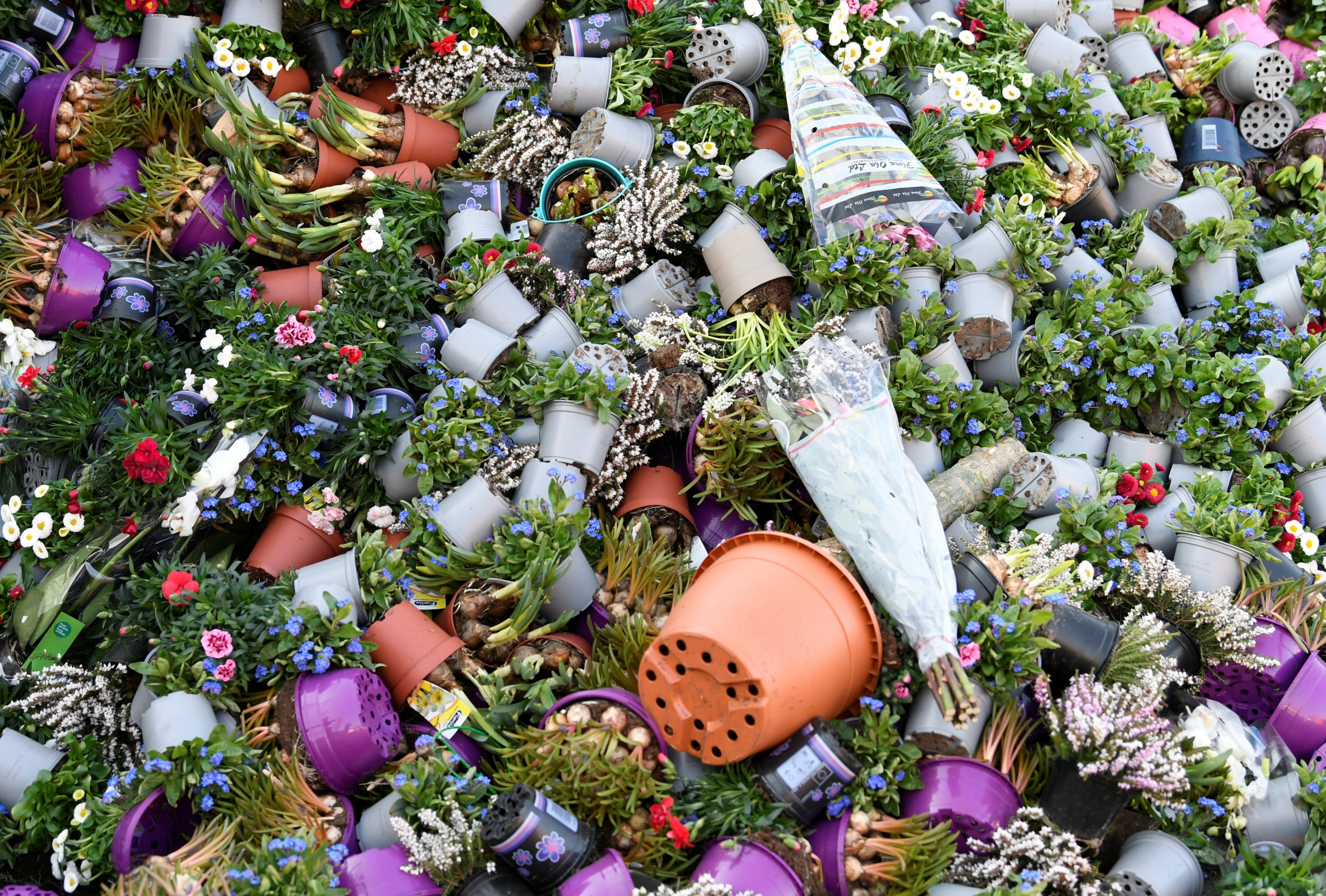 Surplus flowers are destroyed at a waste place next to the flower auction in Honselersdijk, Netherlands, March 27, 2020. Surplus flowers are destroyed at a waste place next to the flower auction in Honselersdijk, Netherlands, March 27, 2020.