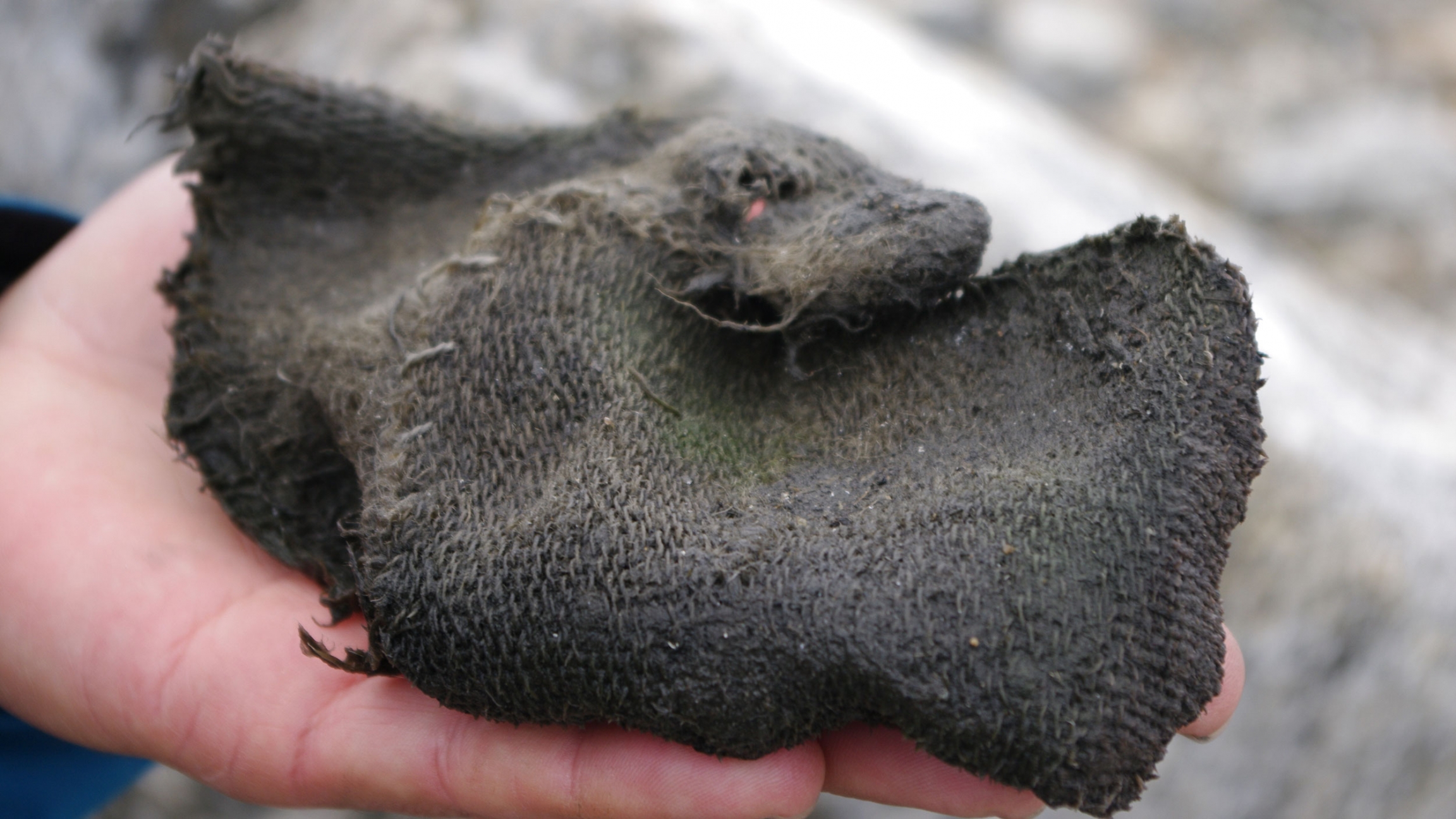 A hand holds an ancient mitten