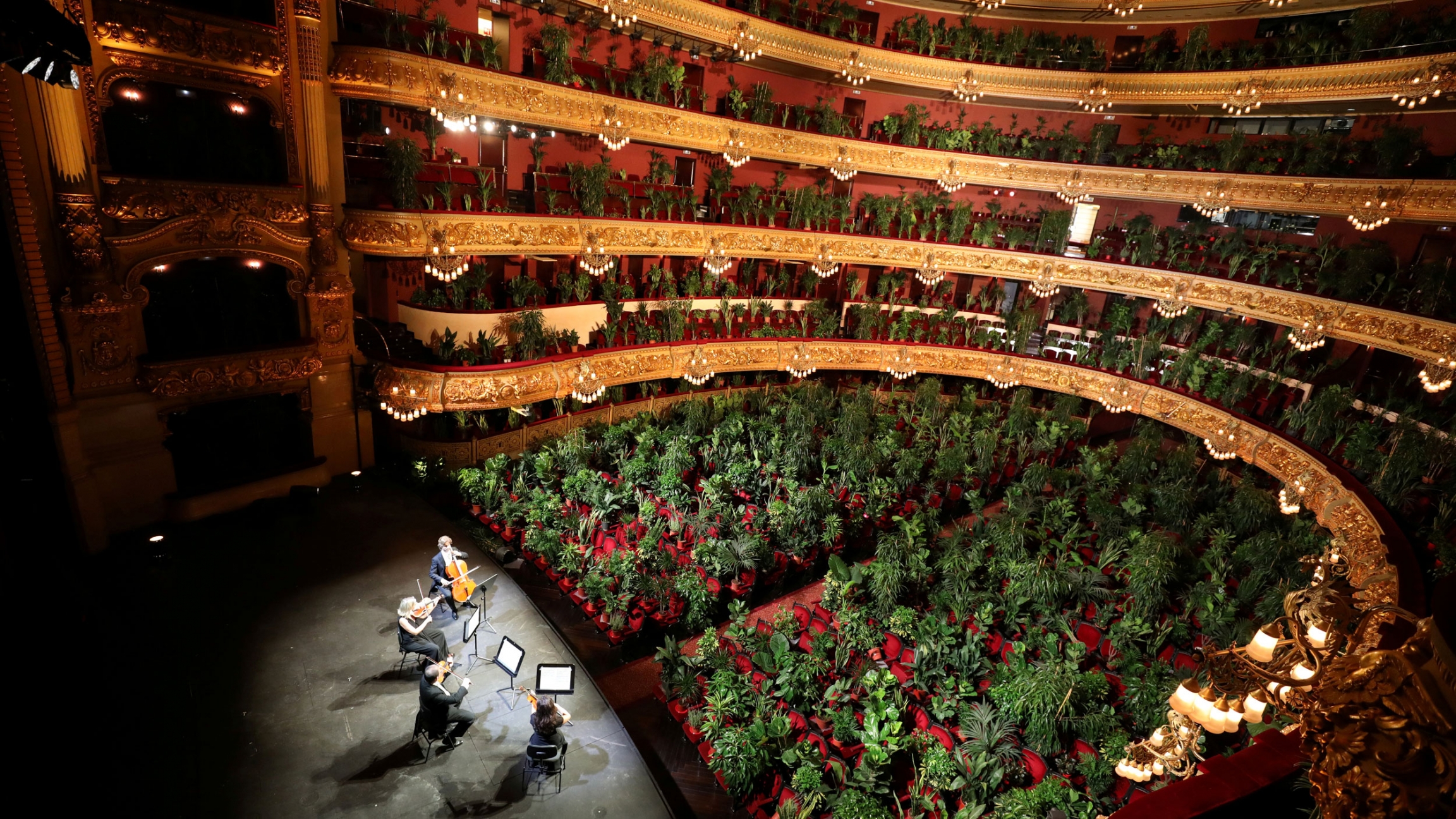 Nursery plants are seen placed in people's seats at Barcelona's Gran Teatre del Liceu, June 22, 2020. A theater is shown filled with potted plants in the chairs.