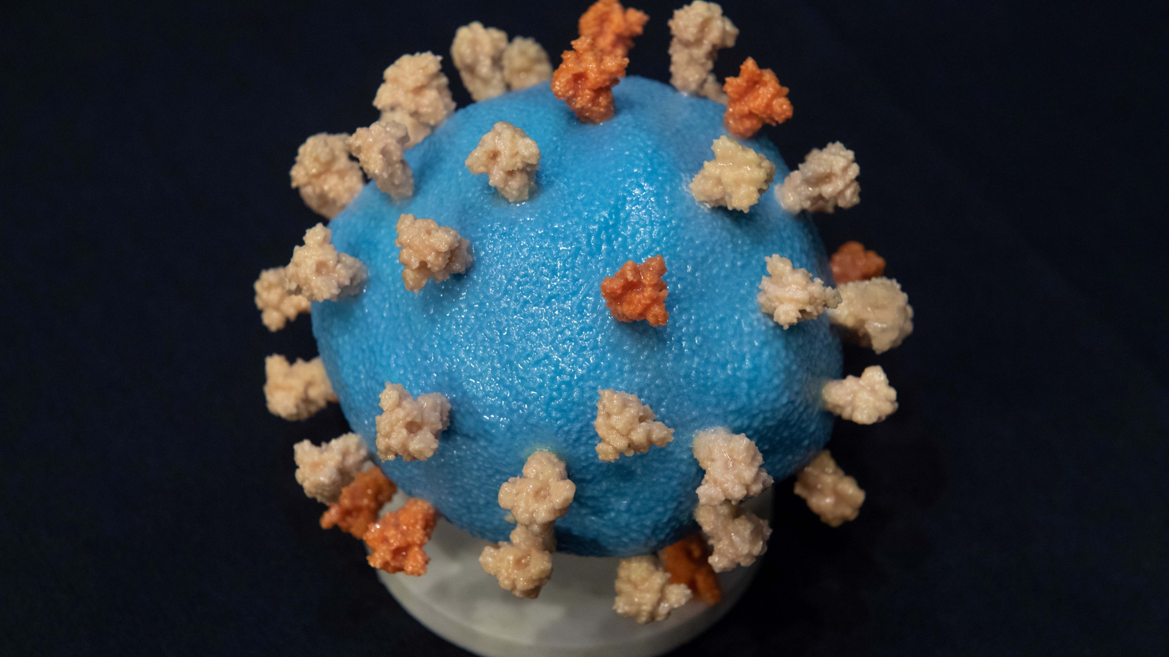 A model of SARS-CoV-2, known as the novel coronavirus. A circular, close-up model of the SARS-CoV-2, known as the novel coronavirus, modeled in blue, orange and white.