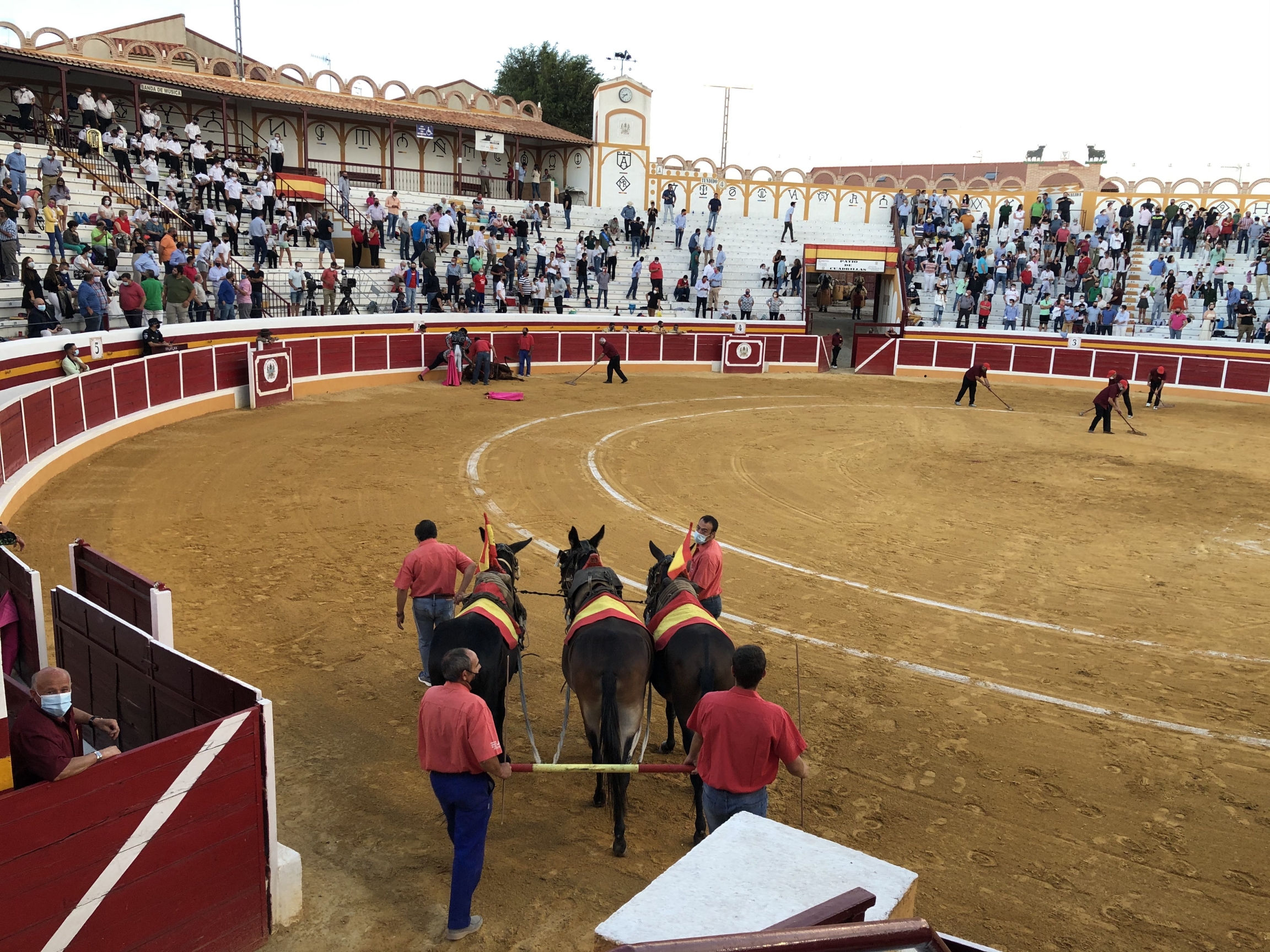Horses are dispatched to pick up the body of a dead bull, Sept. 1, in Añover de Tajo, Spain. Horses are dispatched to pick up the body of a dead bull.