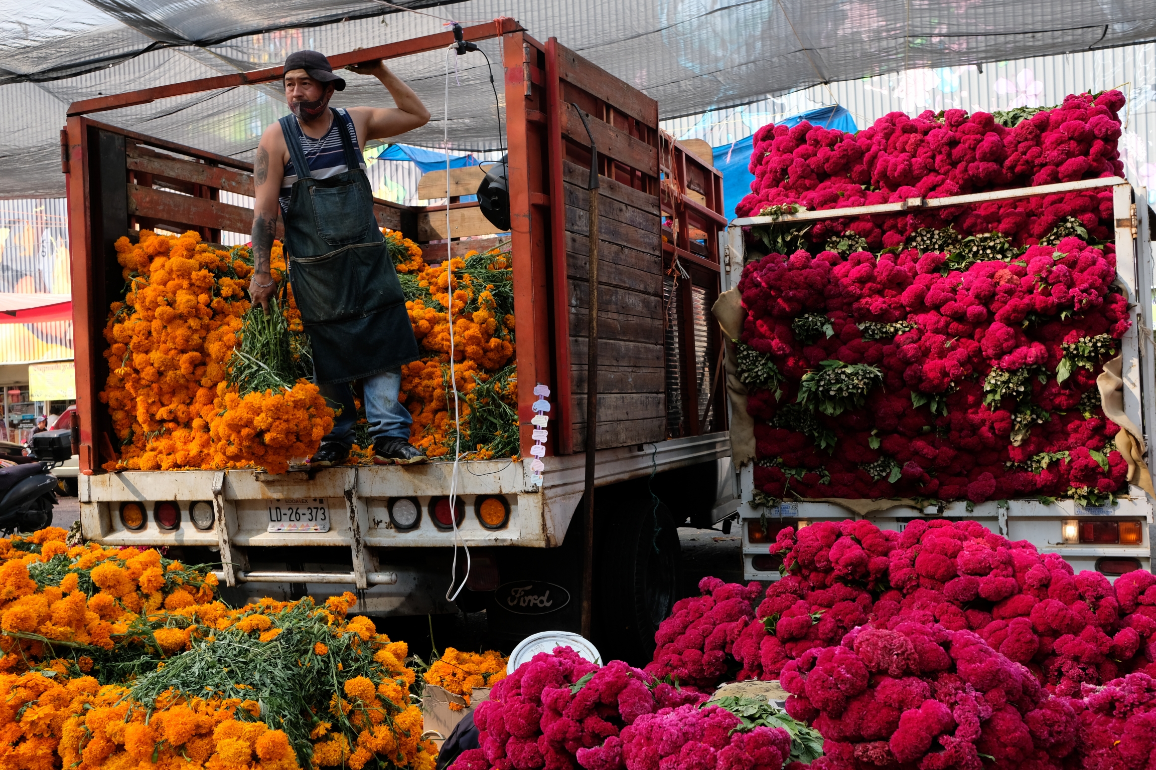 A vendor at the Mercado de Jamaica sells cempasúchil and terciopelo flowers used on altars for Día de los Muertos, or Day of the Dead. A man stands inside a truck bursting with gold and pink flowers all around him in a market in Mexico