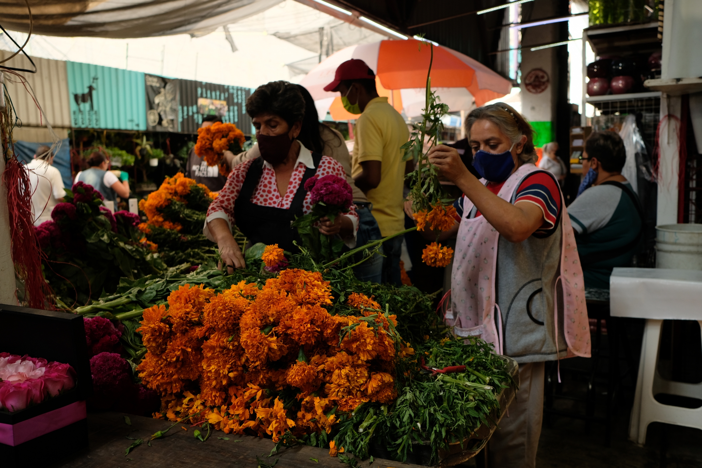 Flower vendors prep freshly harvested marigolds to sell. Many vendors agree that this year sales are very slow. Flower vendors prep freshly harvested marigolds to sell. Many vendors agree that this year sales are very slow.