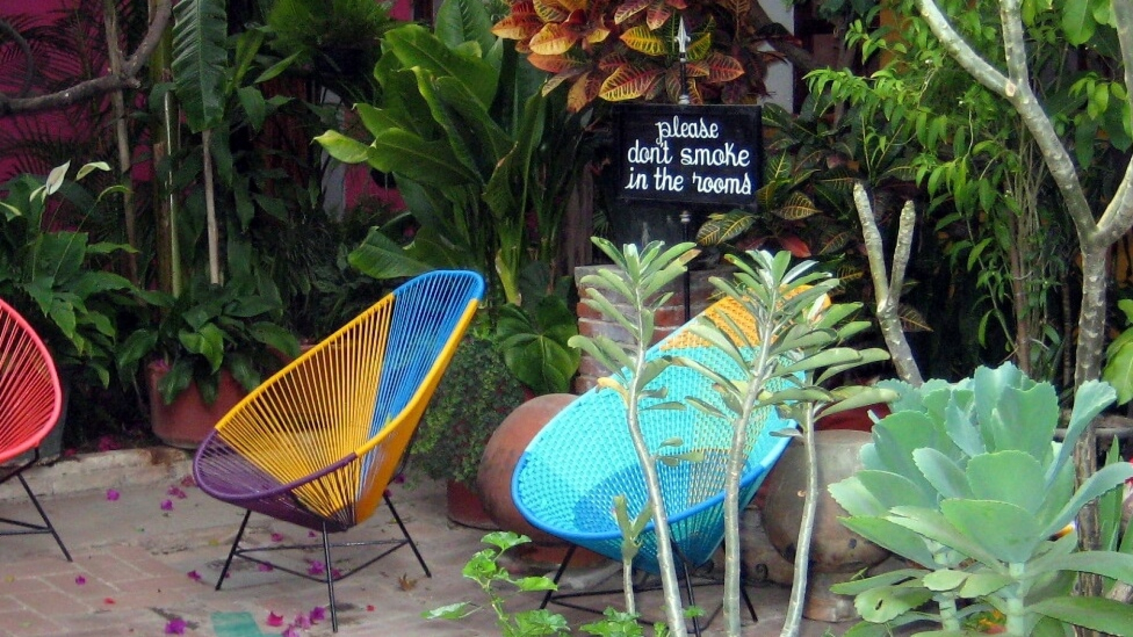 An empty patio at the Las Golondrina hostel in Oaxaca, Mexico. A colorful patio with chairs and greenery and a no-smoking sign