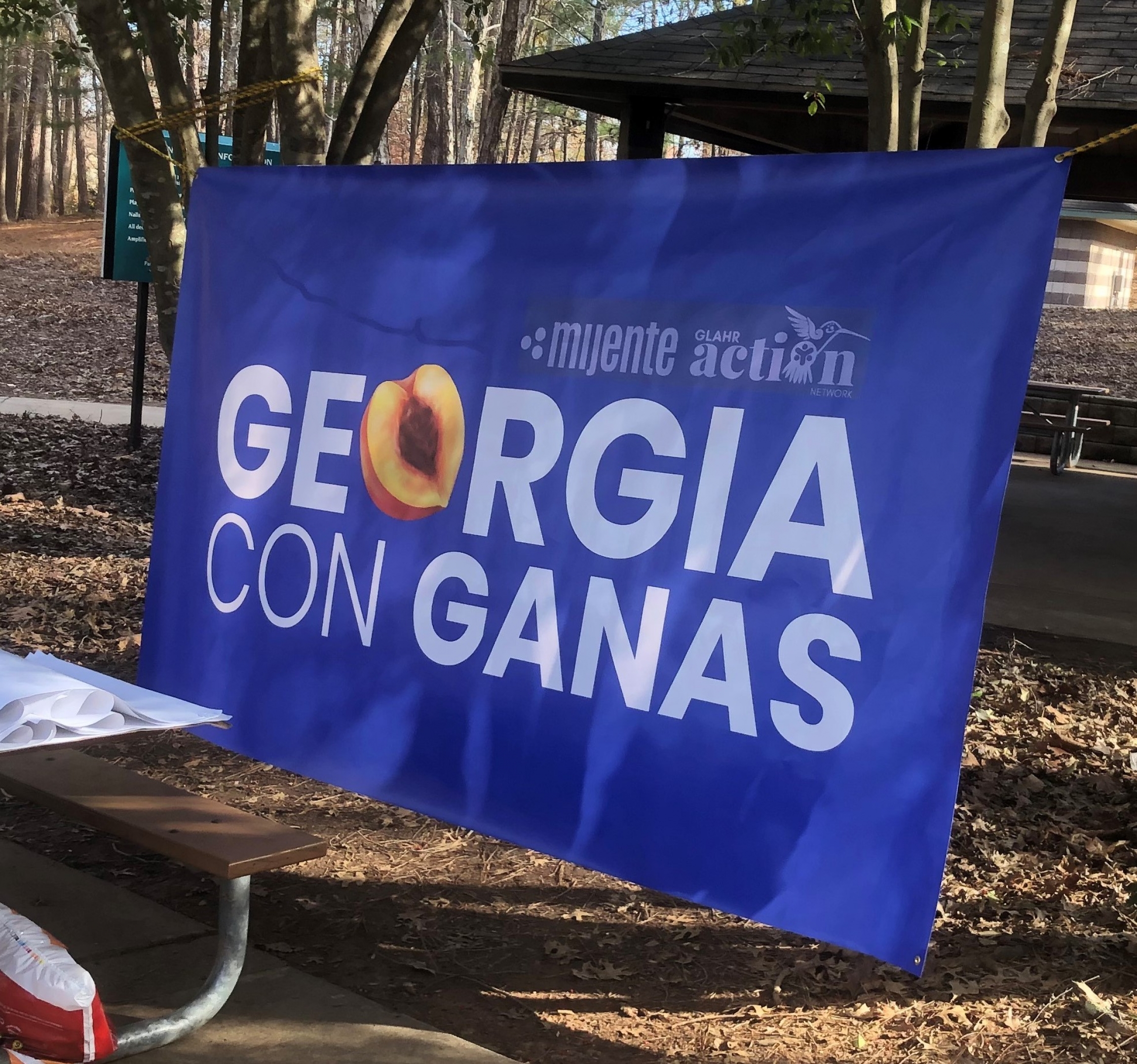 A sign says "Georgia con ganas," or "Eager for Georgia" is seen in Atlanta, Georgia ahead of Jan. 5 runoff elections. A blue sign with white letters says "Georgia con ganas."