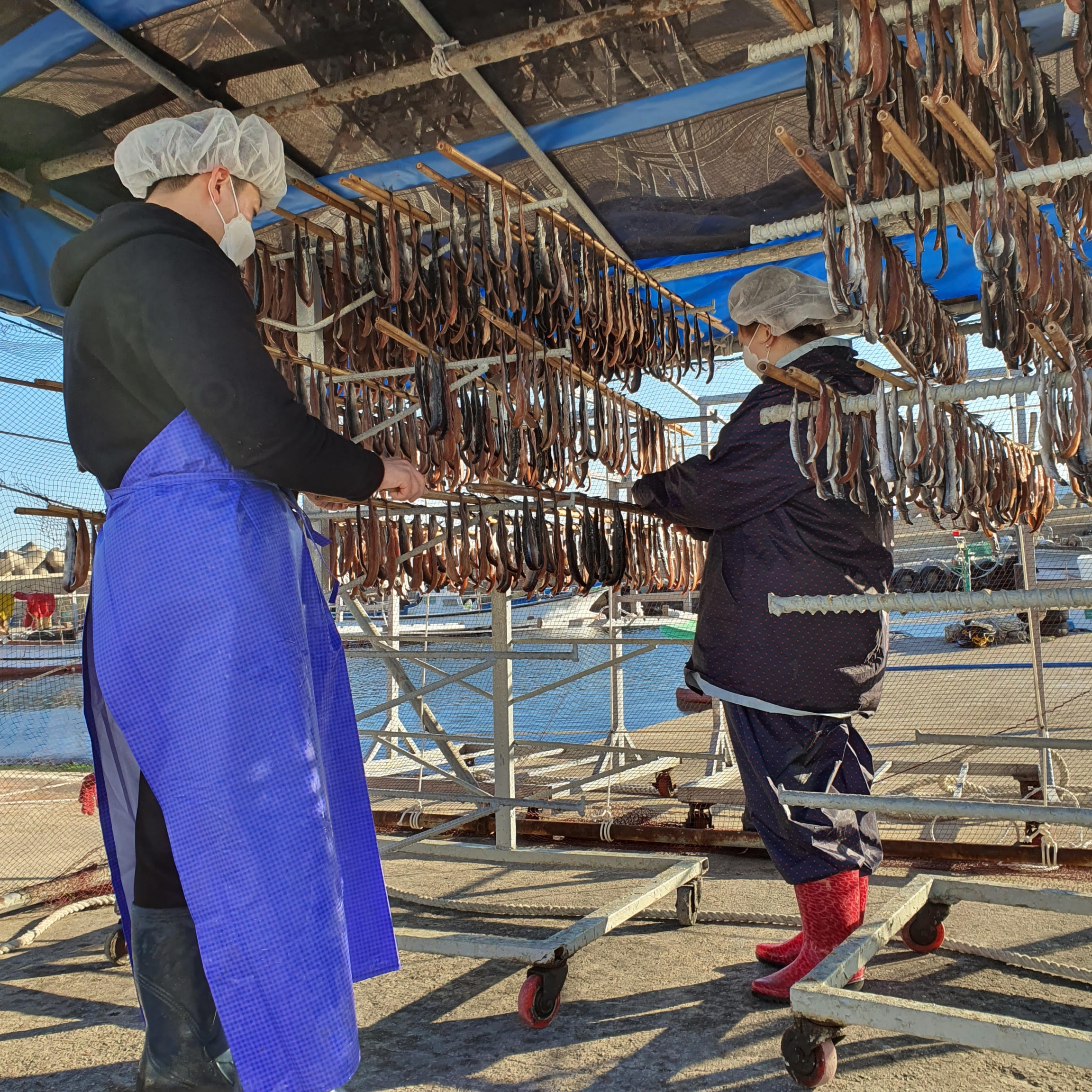 Married couple Choi Kyu-ho (left) and Lee Hyeon-ju (right) dry fish in Pohang, South Korea. Married couple Choi Kyu-ho (left) and Lee Hyeon-ju (right) dry fish in Pohang, South Korea.