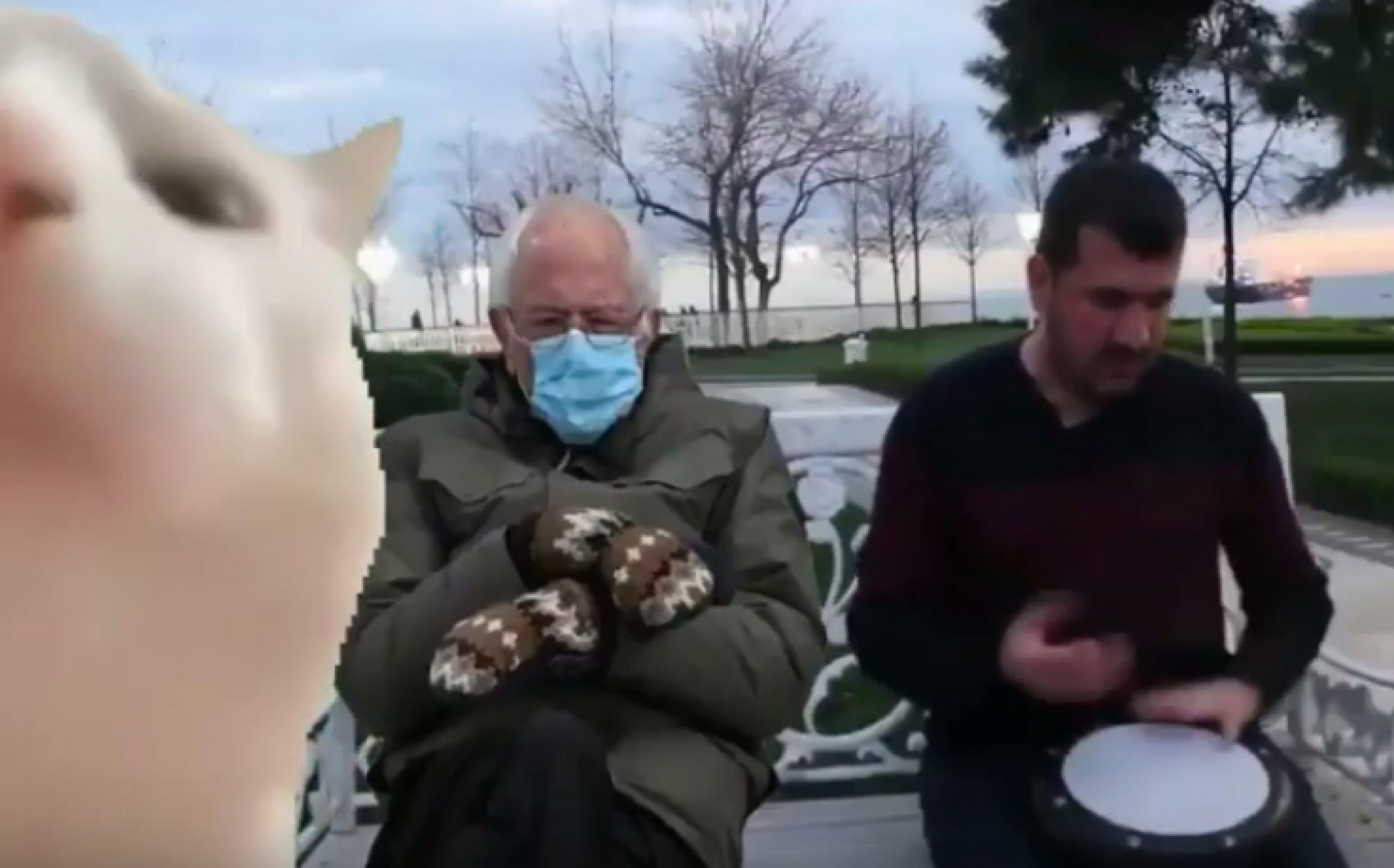 A screen grab of a YouTube video of the cat vibing to Ievan Polkka meme, now with the Bernie Sanders meme. A screen grab of a YouTube video of the cat vibing to Ievan Polkka meme, now with the Bernie Sanders meme.