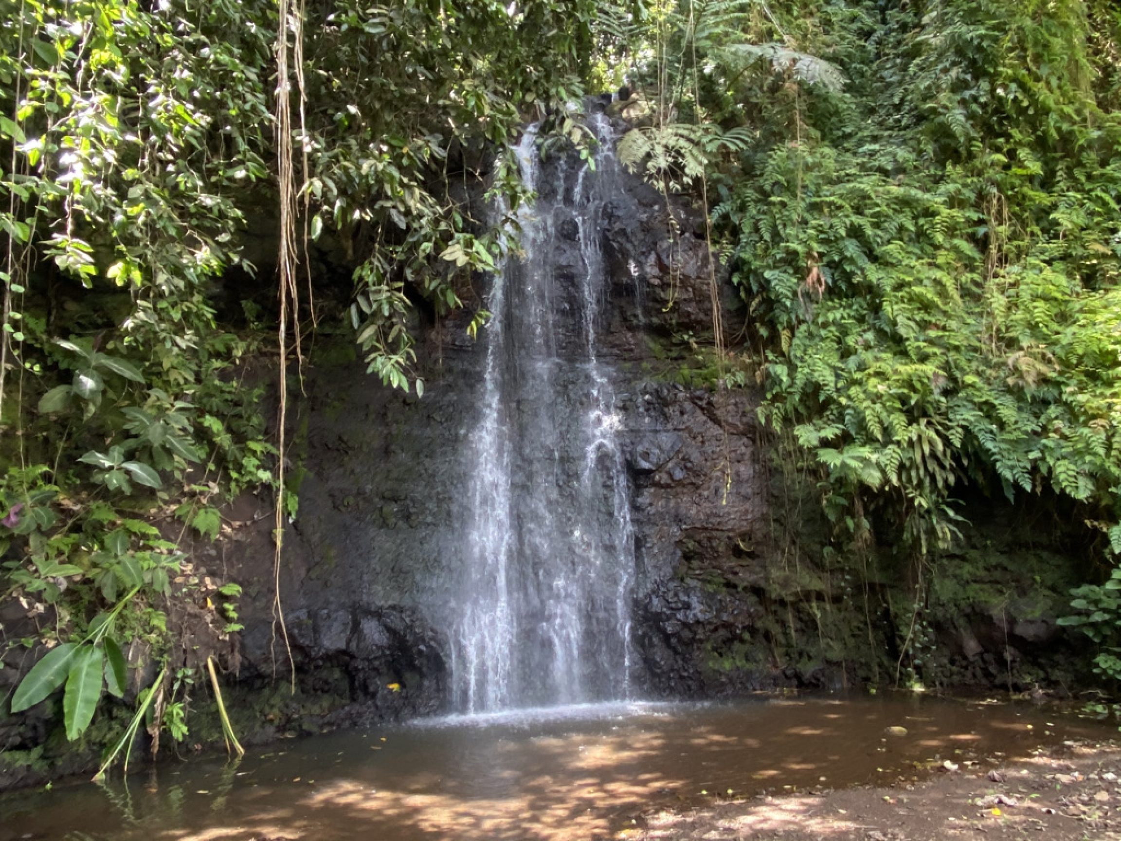 A waterfall in Tahiti. A waterfall in Tahiti.