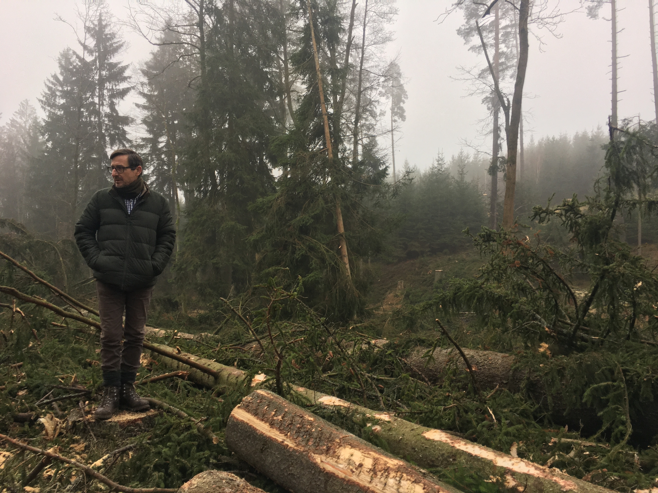 Forest manager Herbert Schmid says "close-to-nature" management practices make for more fire-resilient landscapes, but the practices are not new. Forest manager Herbert Schmid says "close-to-nature" management practices make for more fire-resilient landscapes, but the practices are not new.