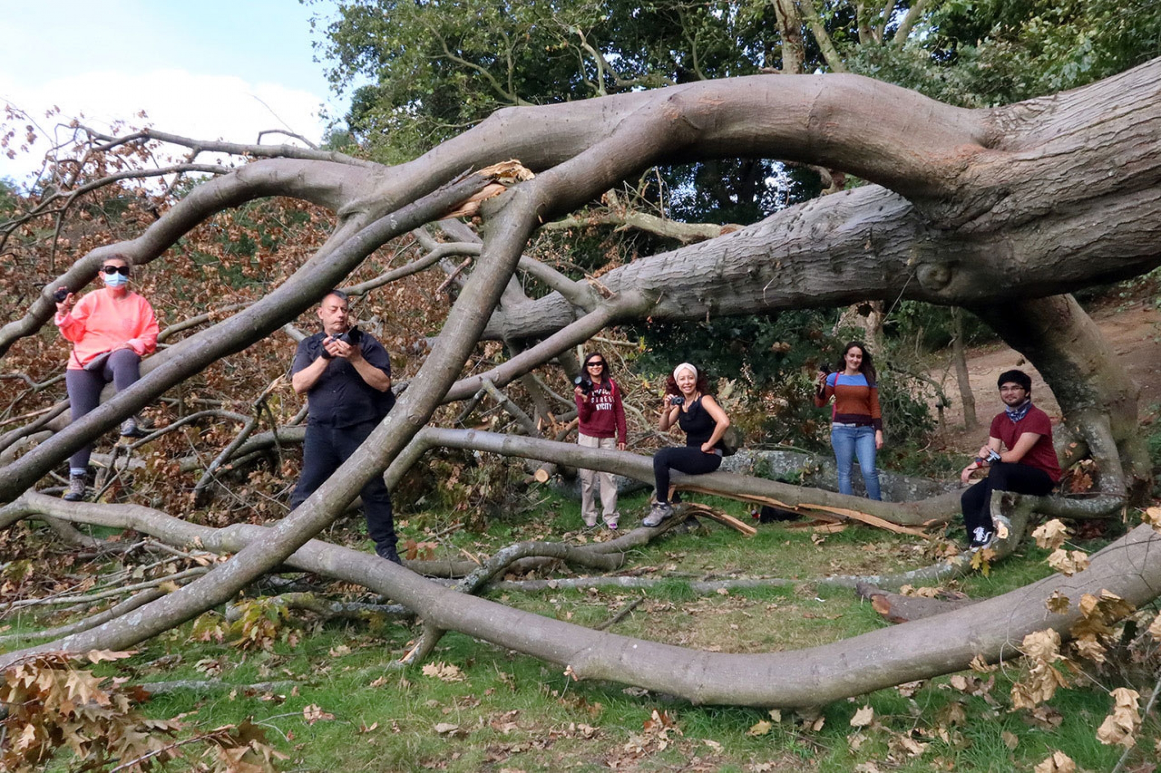 Some of the healthcare workers who participated in the photography project, London, England. A small group of people are shown standing near or siting on a large tree that has fallen over, each holding a camera.