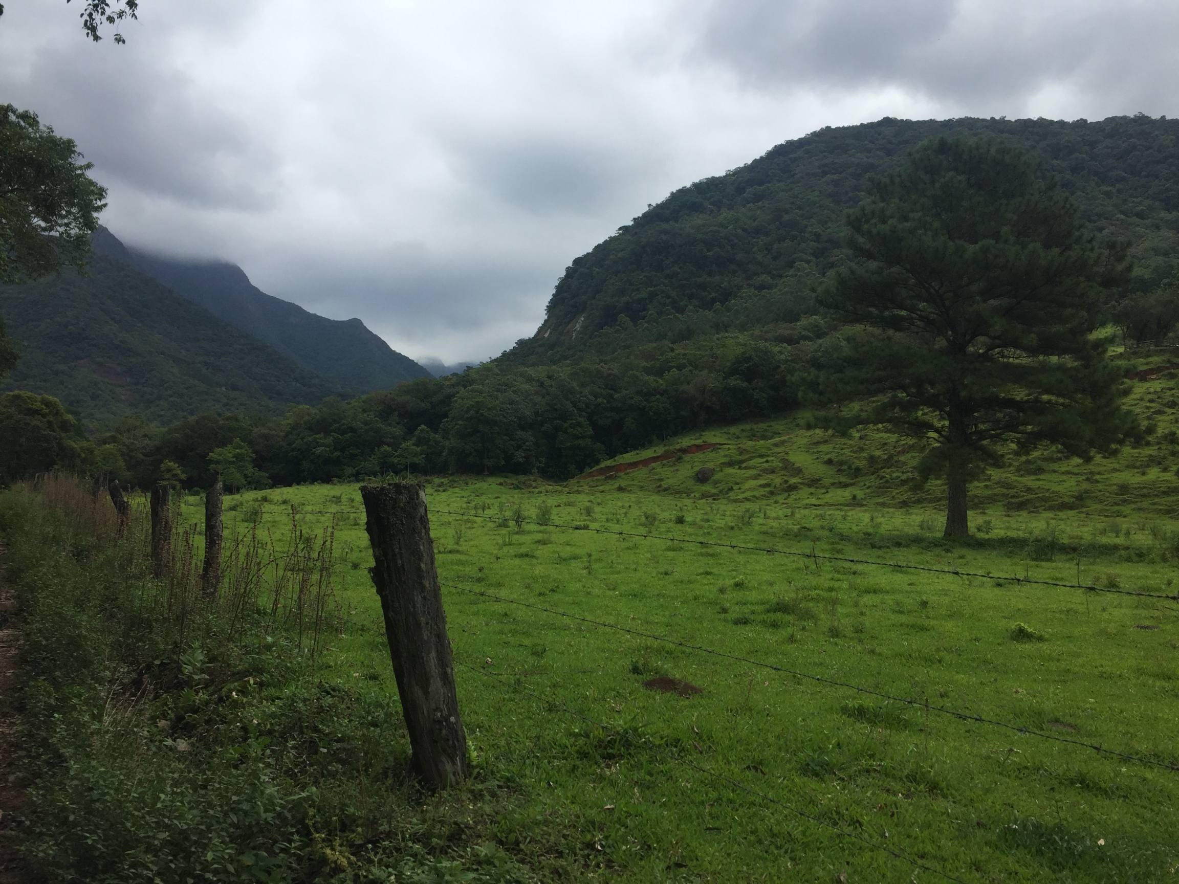 From the end of the road near a village named Tres Barras in southern Brazil, it takes several hours to hike into a paleontological site little-known to those outside the region. From the end of the road near a village named Tres Barras in southern Brazil, it takes several hours to hike into a paleontological site little-known to those outside the region.