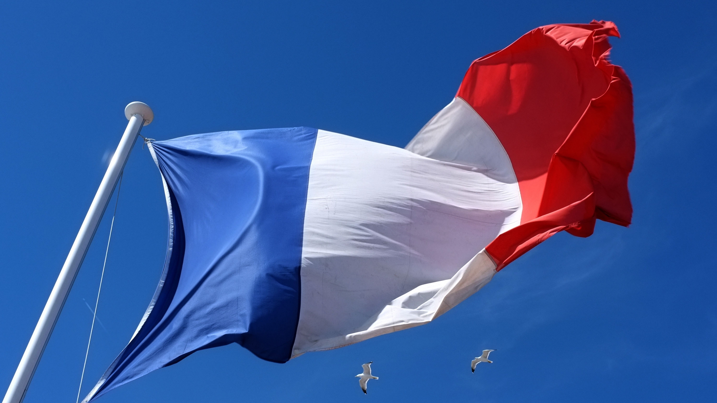 French Generals Letter Warning Civil War Prompts Political Response