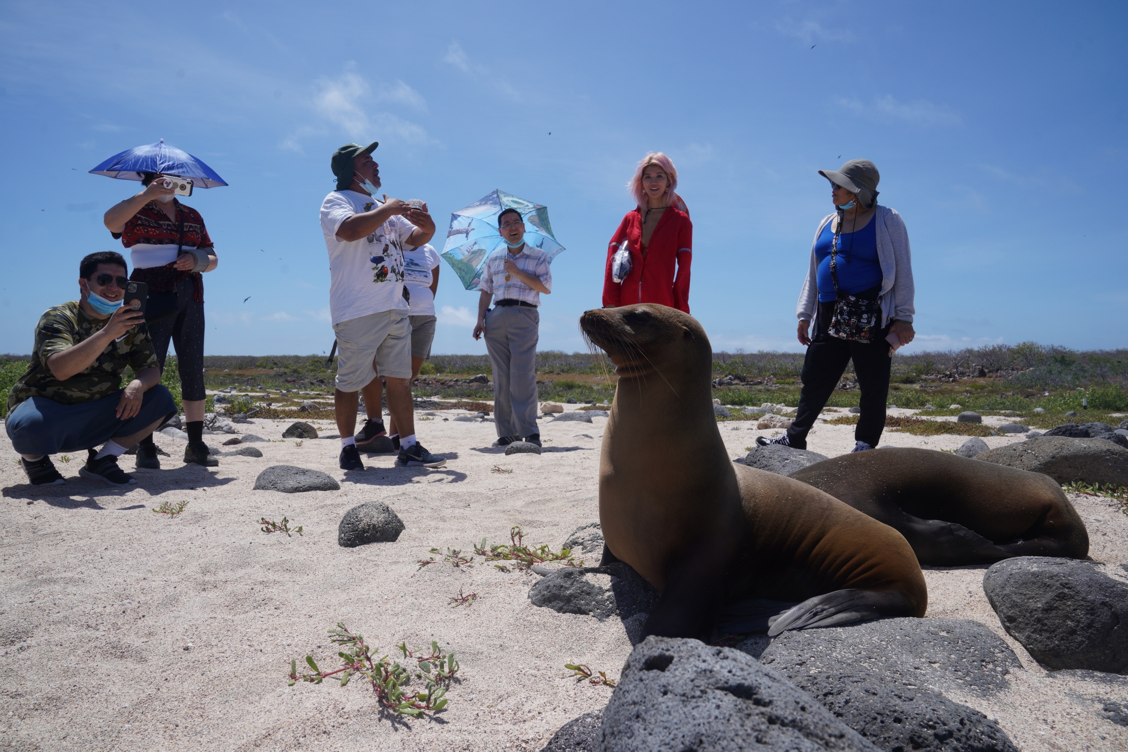 Tourists learn about the lives of sea lions while on a visit to North Seymour Island on May 9, 2021. Tourists learn about the lives of sea lions while on a visit to North Seymour Island on May 9, 2021.