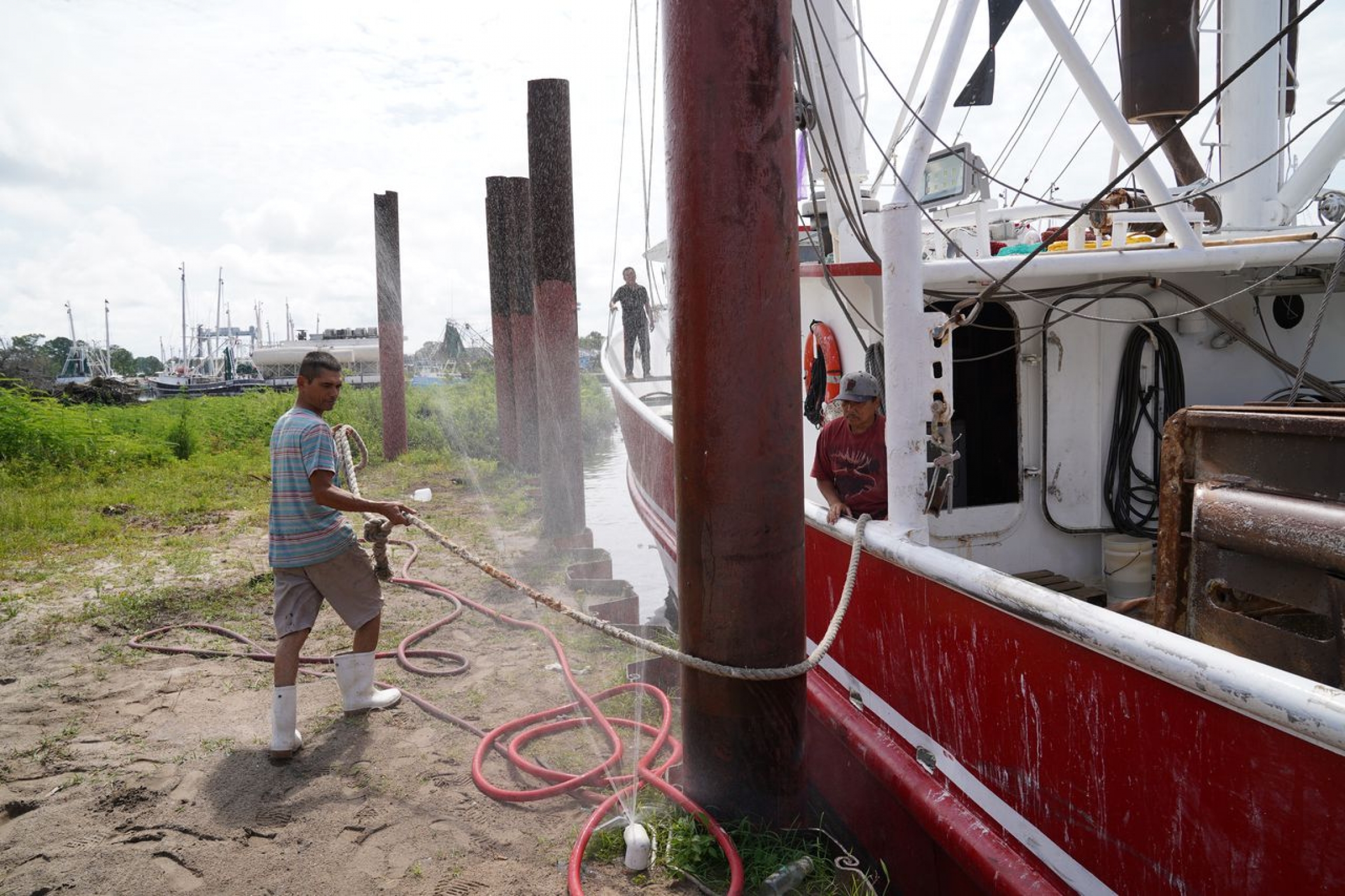 A fisherman helps secure a mooring line for his shrimp boat in Bayou La Batre A man pulls a boat by its rope