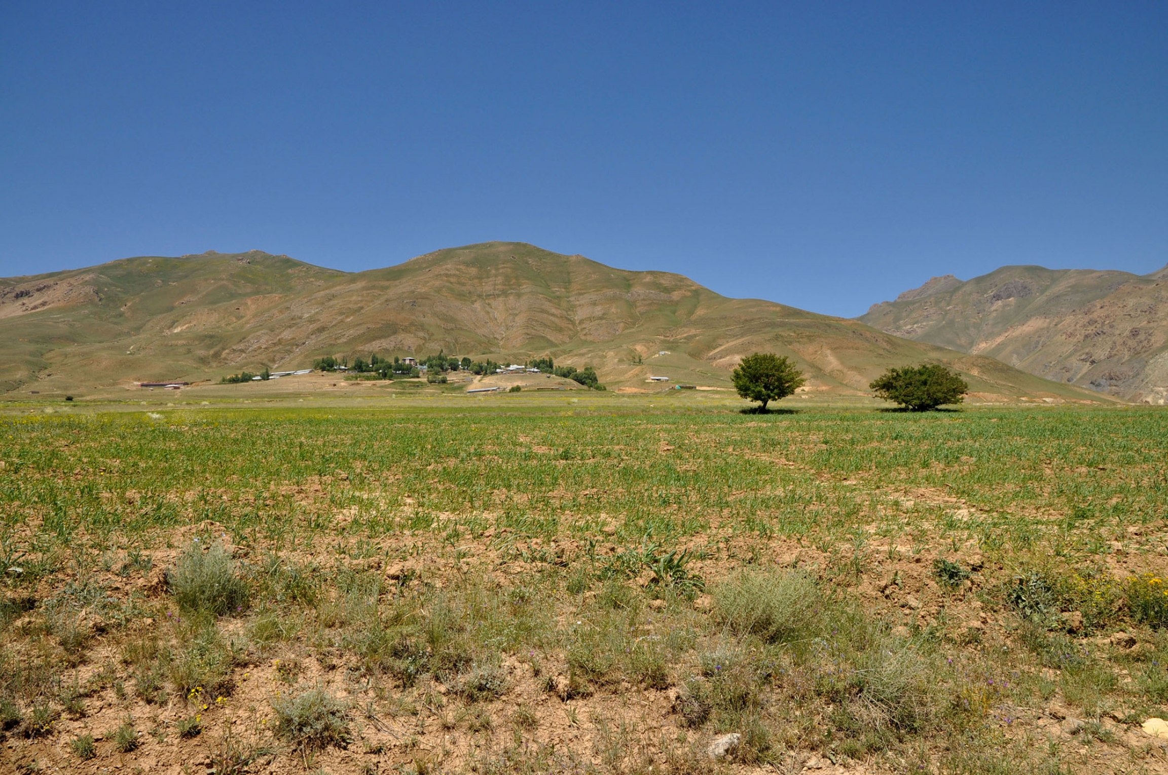 A view of Başkale, a rural Turkish district dotted with small villages, near the Iranian border. The area is one of three districts where migrants who cross the Zagros Mountains often enter into Turkey. A view of Başkale, a rural Turkish district dotted with small villages, near the Iranian border.