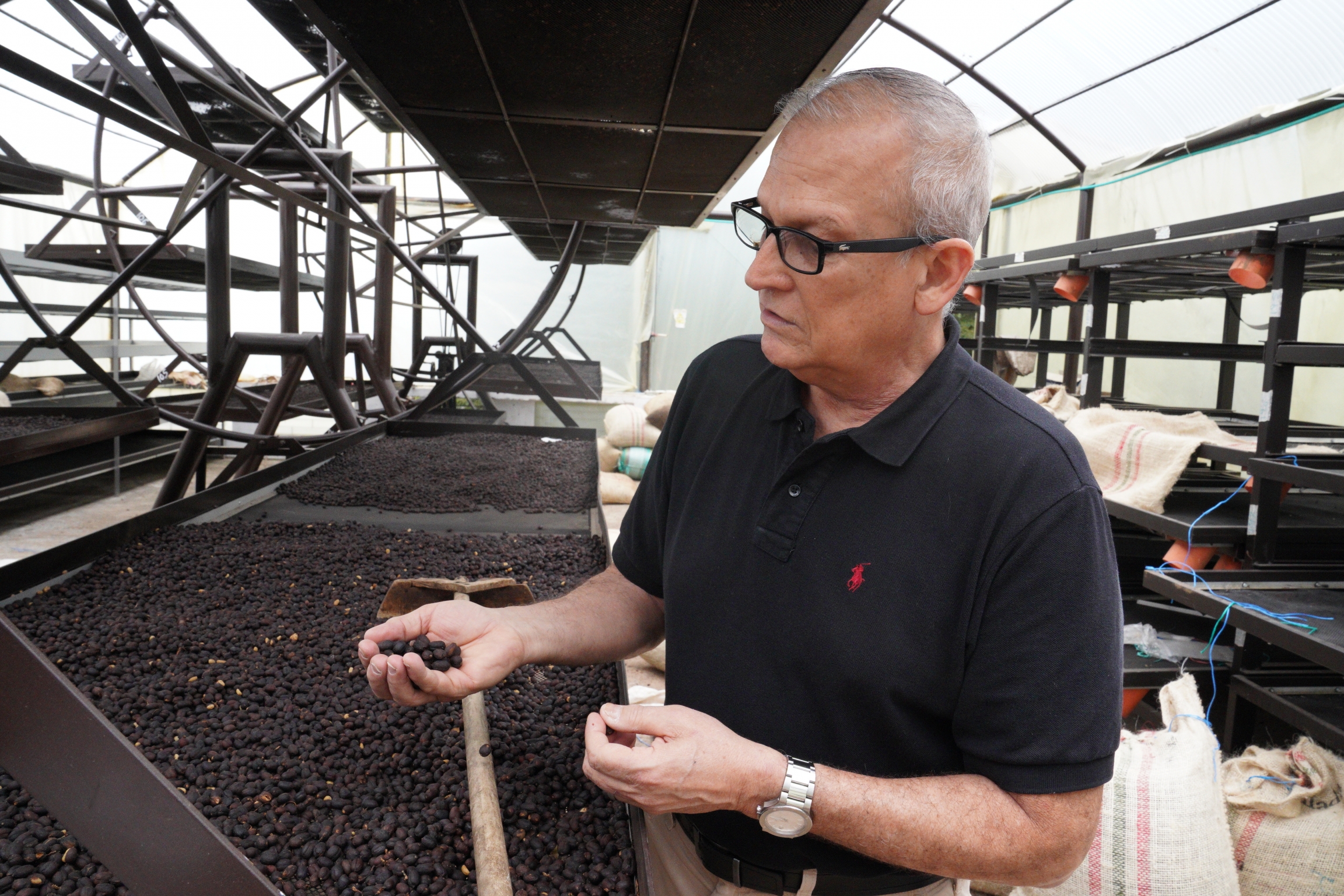 Mauricio Zuñiga checks out a batch of coffee beans that are being dried up at the Immaculada farm near Cali, Colombia, on May 27. Mauricio Zuñiga checks out a batch of coffee beans that are being dried up at the Immaculada farm near Cali, Colombia, on May 27.