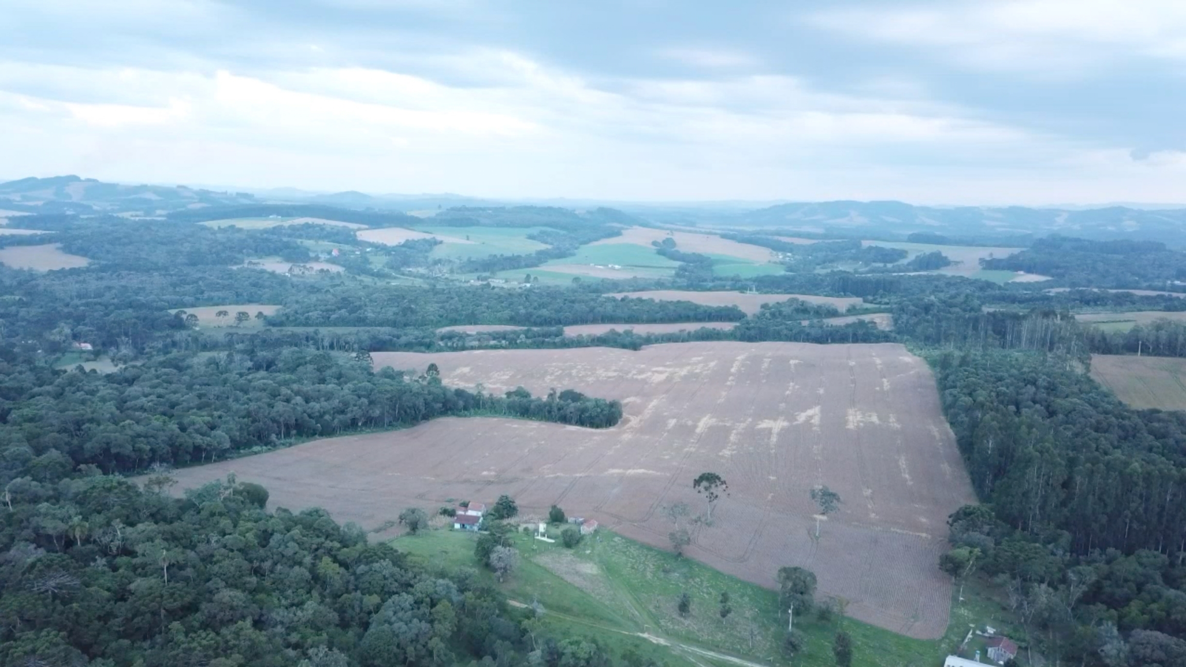 The size of the faxinal's communal land in Marcondes in the countryside of the Brazilian state of Paraná has shrunk to a sixth of what it once was — in part because of the huge growth in soy, according to farmer Tarcísio Maistricz. The size of the faxinal's communal land in Marcondes in the countryside of the Brazilian state of Paraná has shrunk to a sixth of what it once was — in part because of the huge growth in soy, according to farmer Tarcísio Maistricz.
