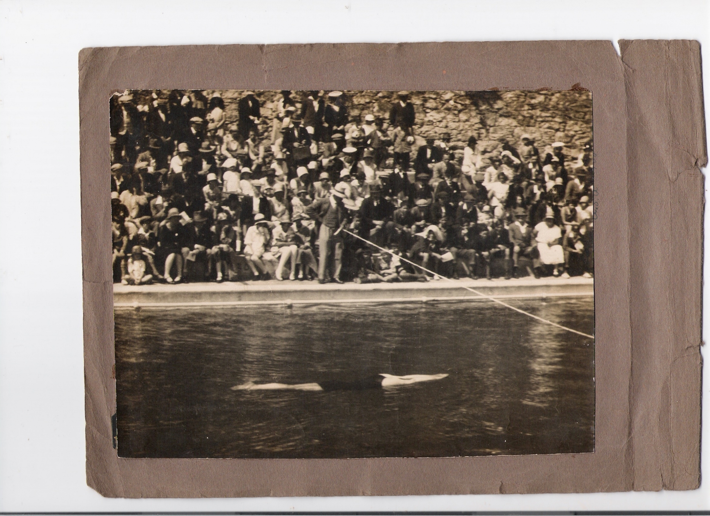 An undated black and white picture of Frank Parrington, who holds the world record for the plunge-for-distance event. An undated black and white picture of Frank Parrington, who holds an Olympic world record for the plunge-for-distance event.