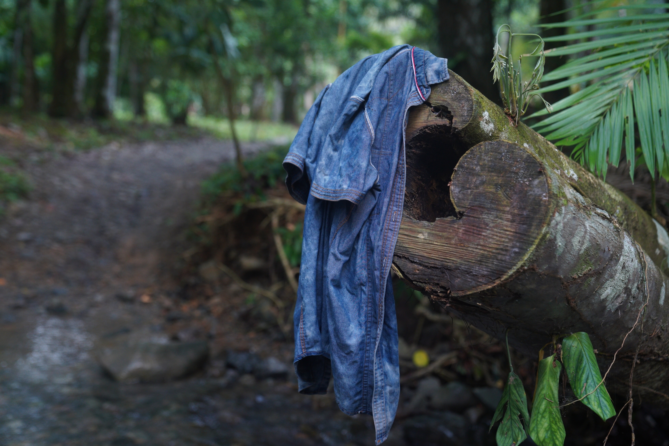 Migrants start to shed some of their belongings as they begin to trek through the Darien Gap Migrants start to shed some of their belongings as they begin to trek through the Darien Gap