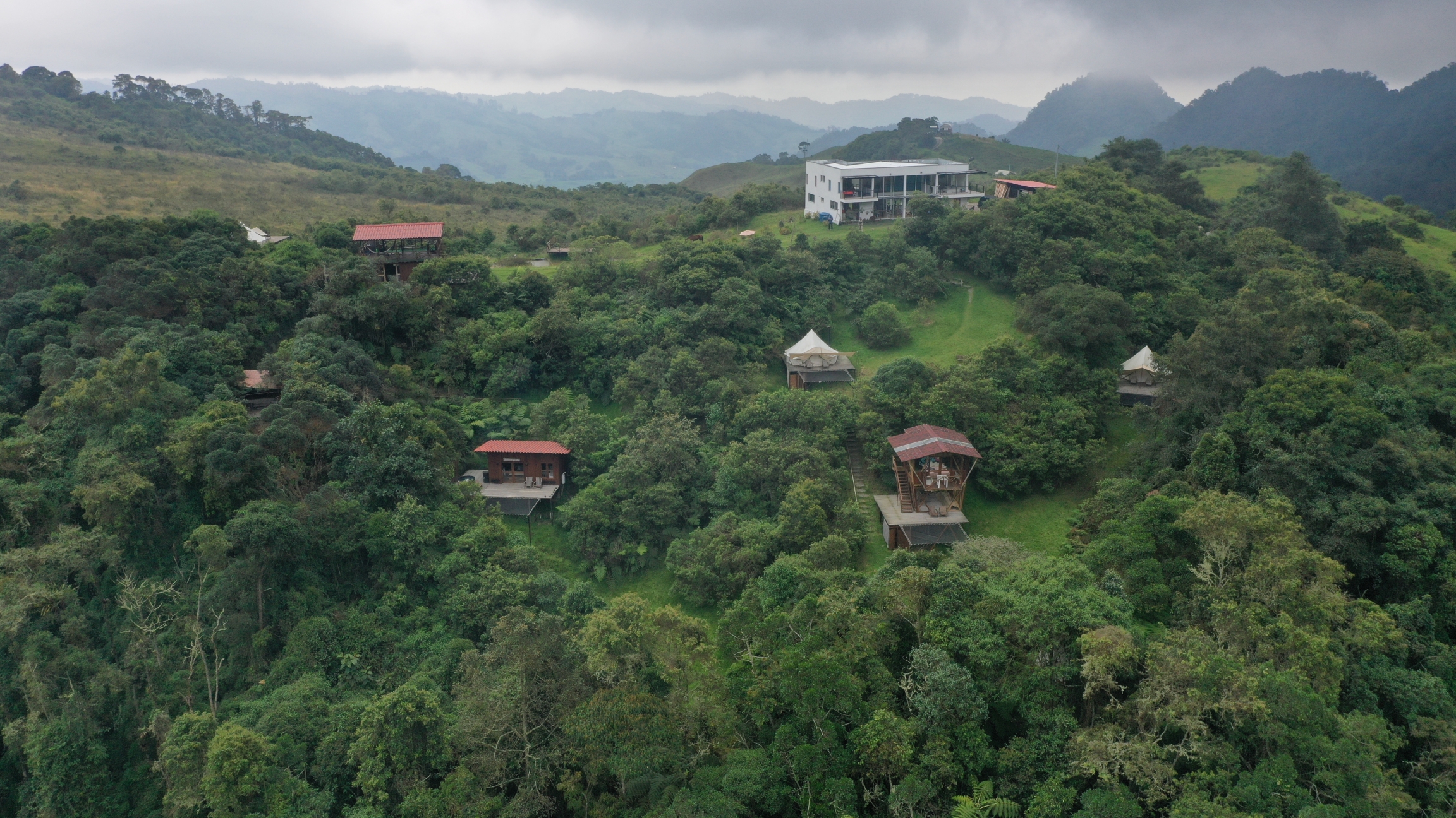 At El Color de Mis Reves, or The Color of My Dreams, most of the land is covered by cloud forests. The owner wants the forest to regrow to give the wildlife more space. At El Color de Mis Reves, or The Color of My Dreams, most of the land is covered by cloud forests. The owner wants the forest to regrow to give the wildlife more space.