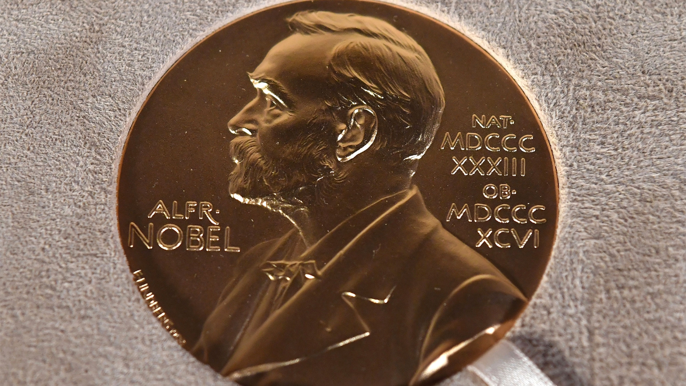 Photo of a Nobel medal displayed during a ceremony in New York Photo of a Nobel medal displayed during a ceremony in New York