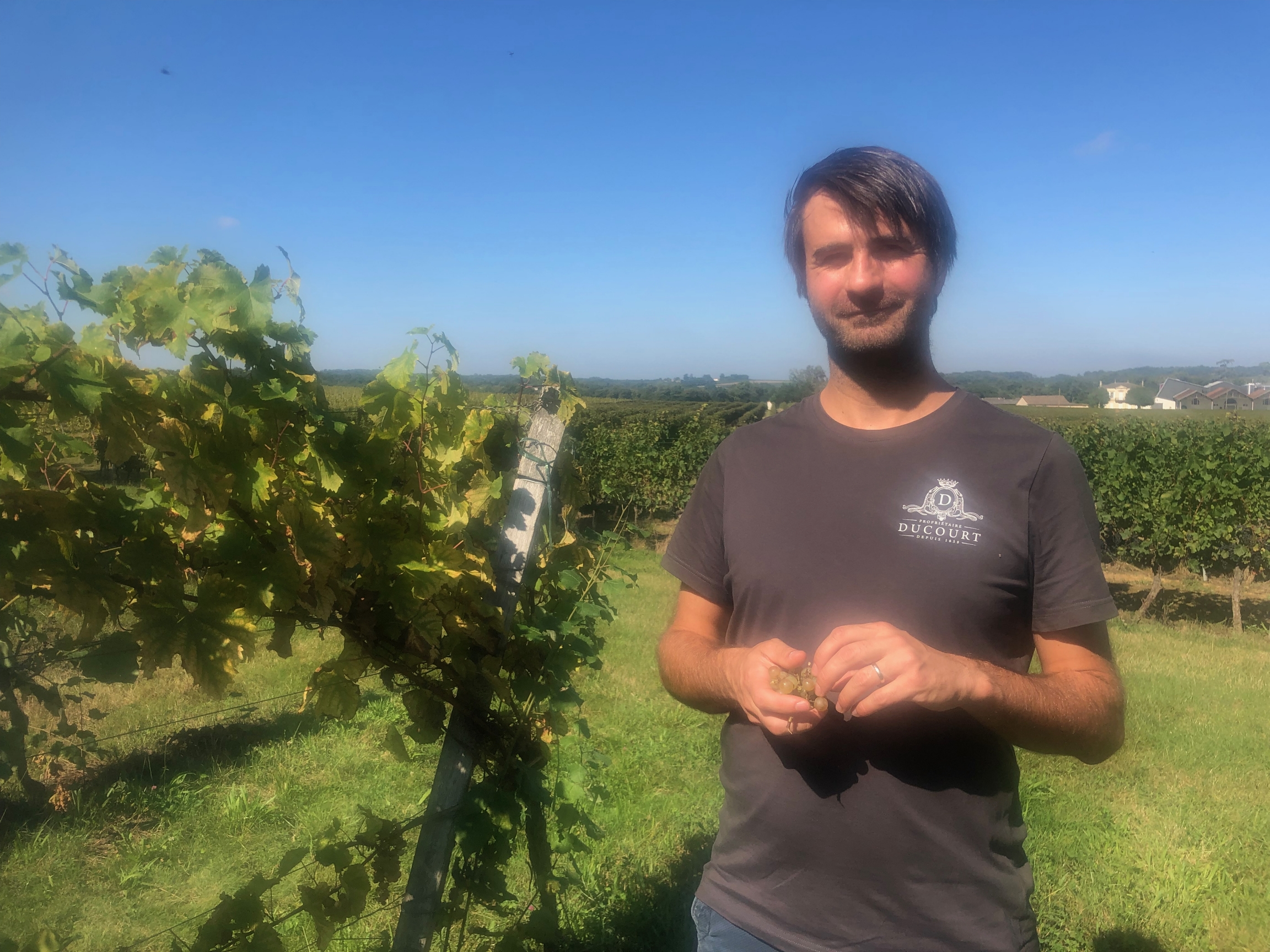 Winegrower Jonathan Ducourt showed off a not-so-hidden secret: neat rows of six, experimental hybrid vines at his family's vineyard near Bordeaux, France. Winegrower Jonathan Ducourt showed off a not-so-hidden secret: neat rows of six, experimental hybrid vines at his family's vineyard near Bordeaux, France.
