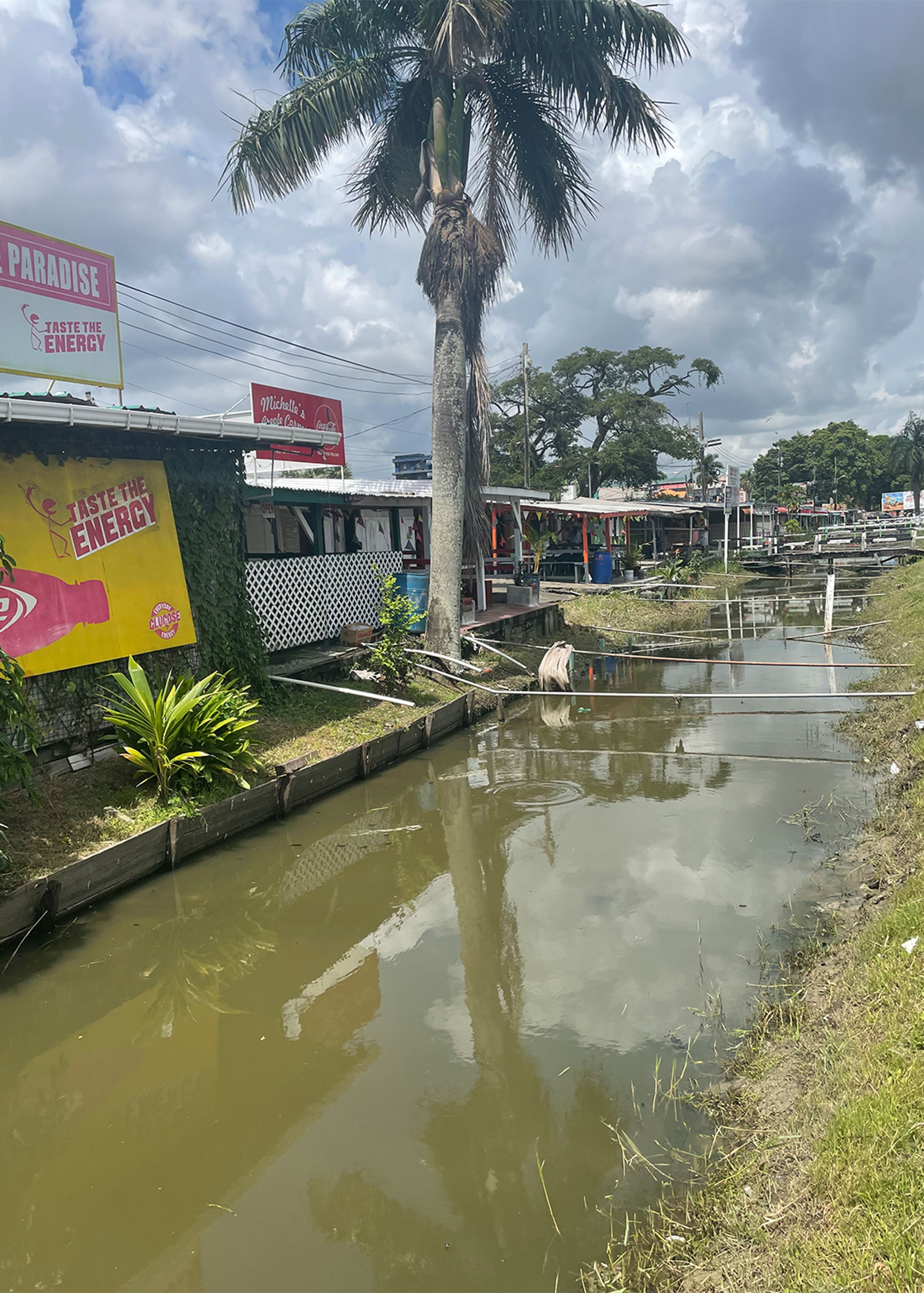 Guyana has thus far been hailed as a world leader on climate change, but new plans for extracting oil has environmental activists concerned.