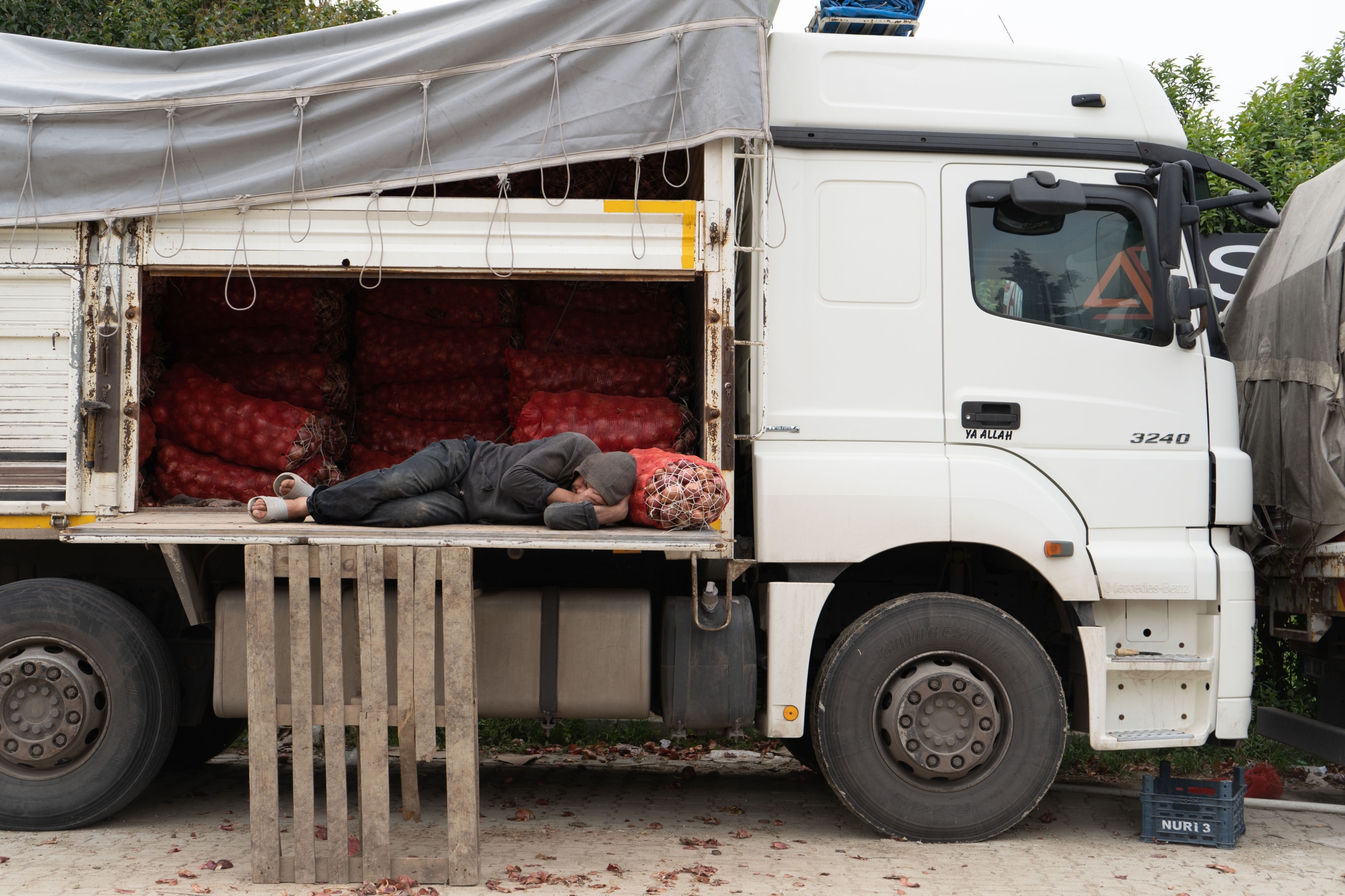 worker asleep