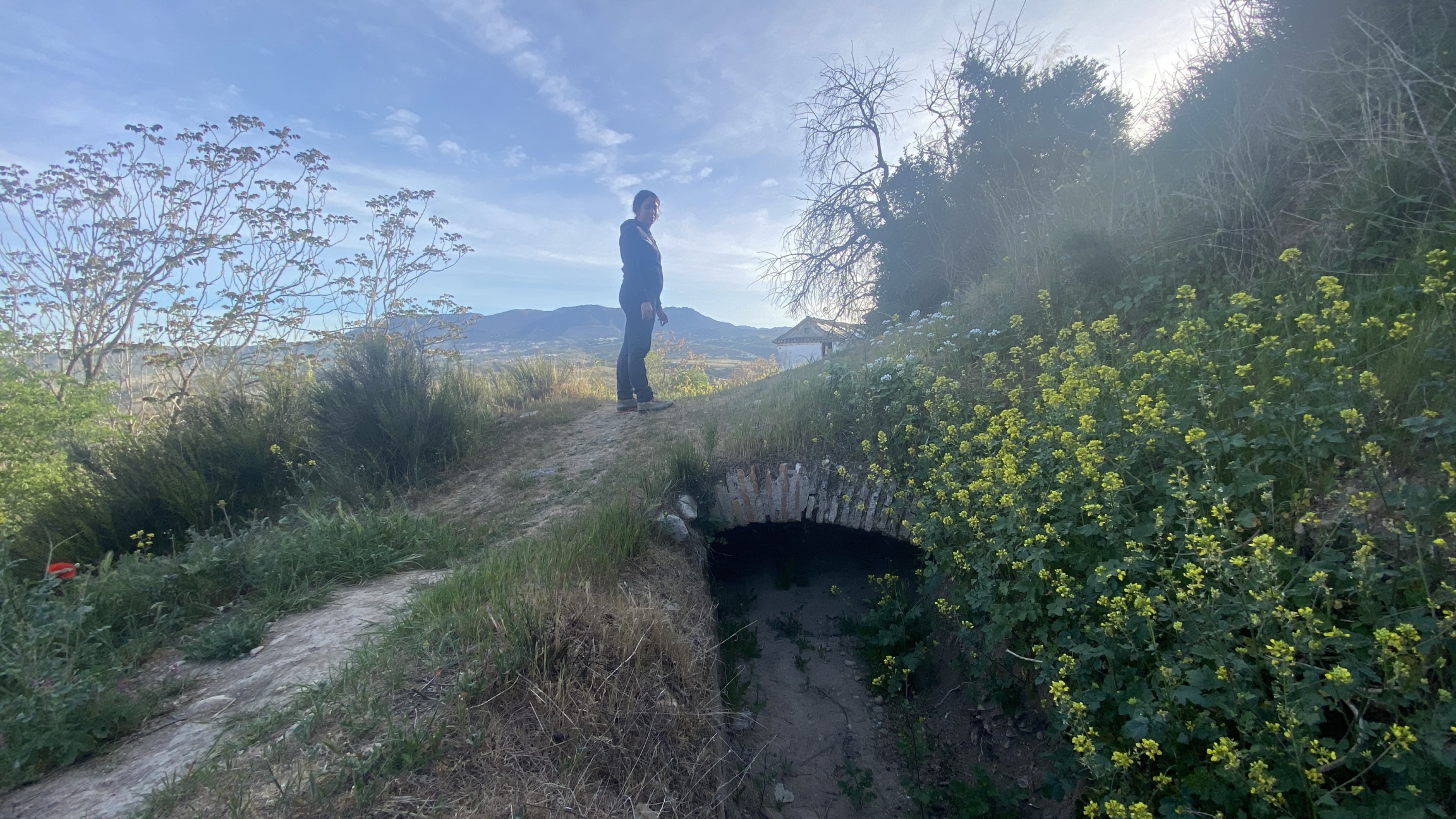 woman on mountainside