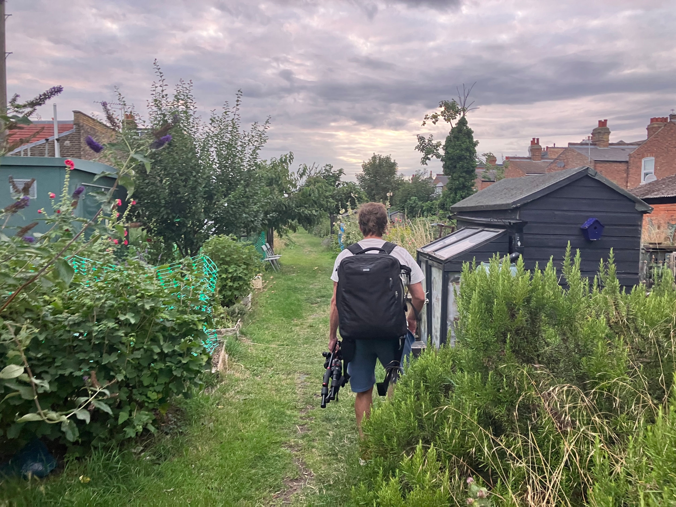 Wildlife photographer Matt Maran prepares to photograph a fox in his neighborhood community garden.