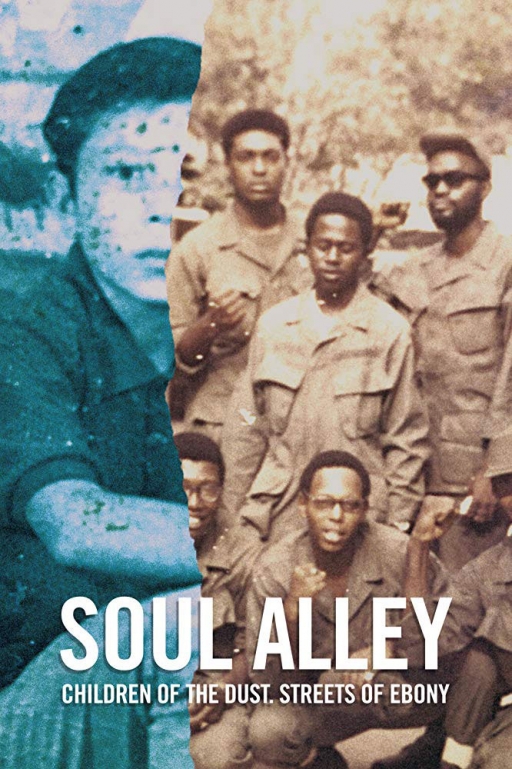 A promotional image for the documentary shows a half-image of African American GIs and a half-image of a young child with the words "Soul Alley" on it.