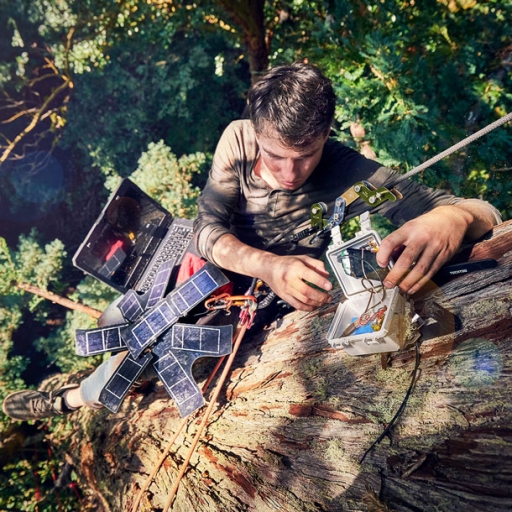Bioacoustics listening device in tree
