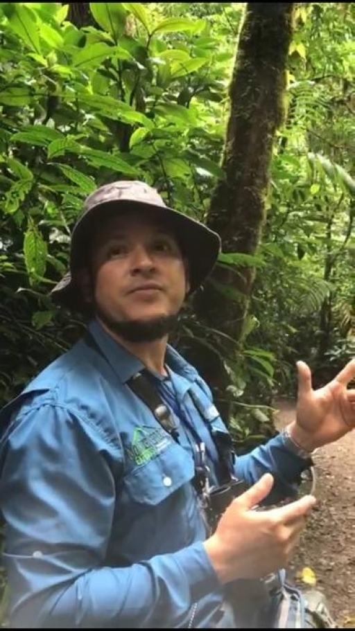 A close up of a man in a green area