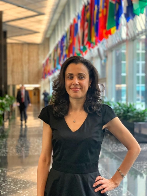 Portait of Rim-Sarah Alouane, a French legal scholar. Portait of Rim-Sarah Alouane wearing a black dress standing in a hallway with flags of the world hanging behind her.