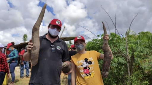 Two farmers with the Landless Workers' Movement hold huge cassava that will be transformed into dinner for poor communities. Two farmers hold huge cassava.