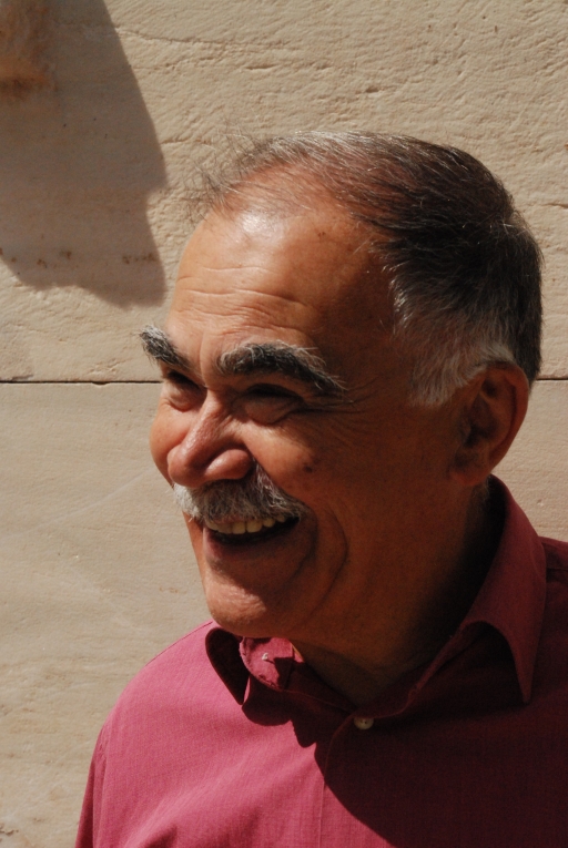 Tasos Tanoulas, who for decades led restoration and preservation projects on the Acropolis, is calling on renovations to the Acropolis to stop. Tasos Tanoulas, who for decades led restoration and preservation projects on the Acropolis, is calling on renovations to the Acropolis to stop.
