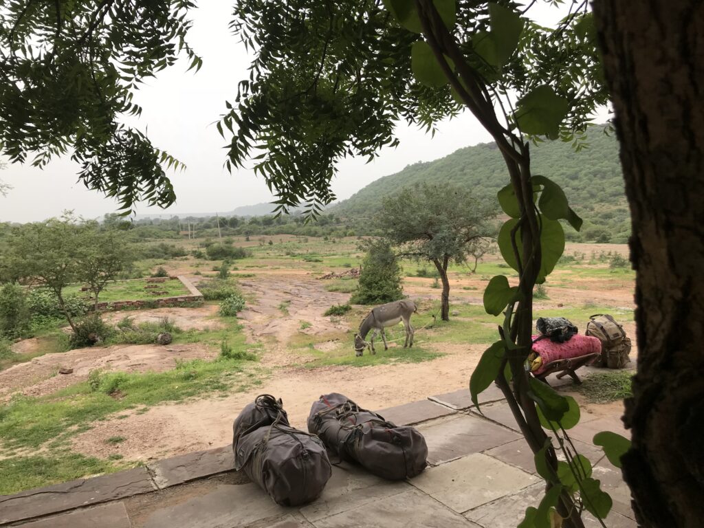 Out of Eden Walk: On foot across northern India