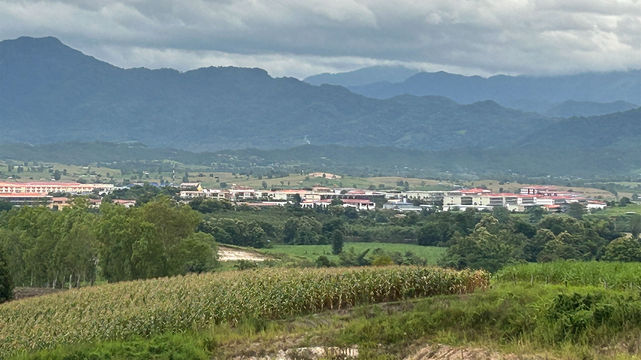 Freeing victims from criminal enclaves in Myanmar, one TikTok at a time